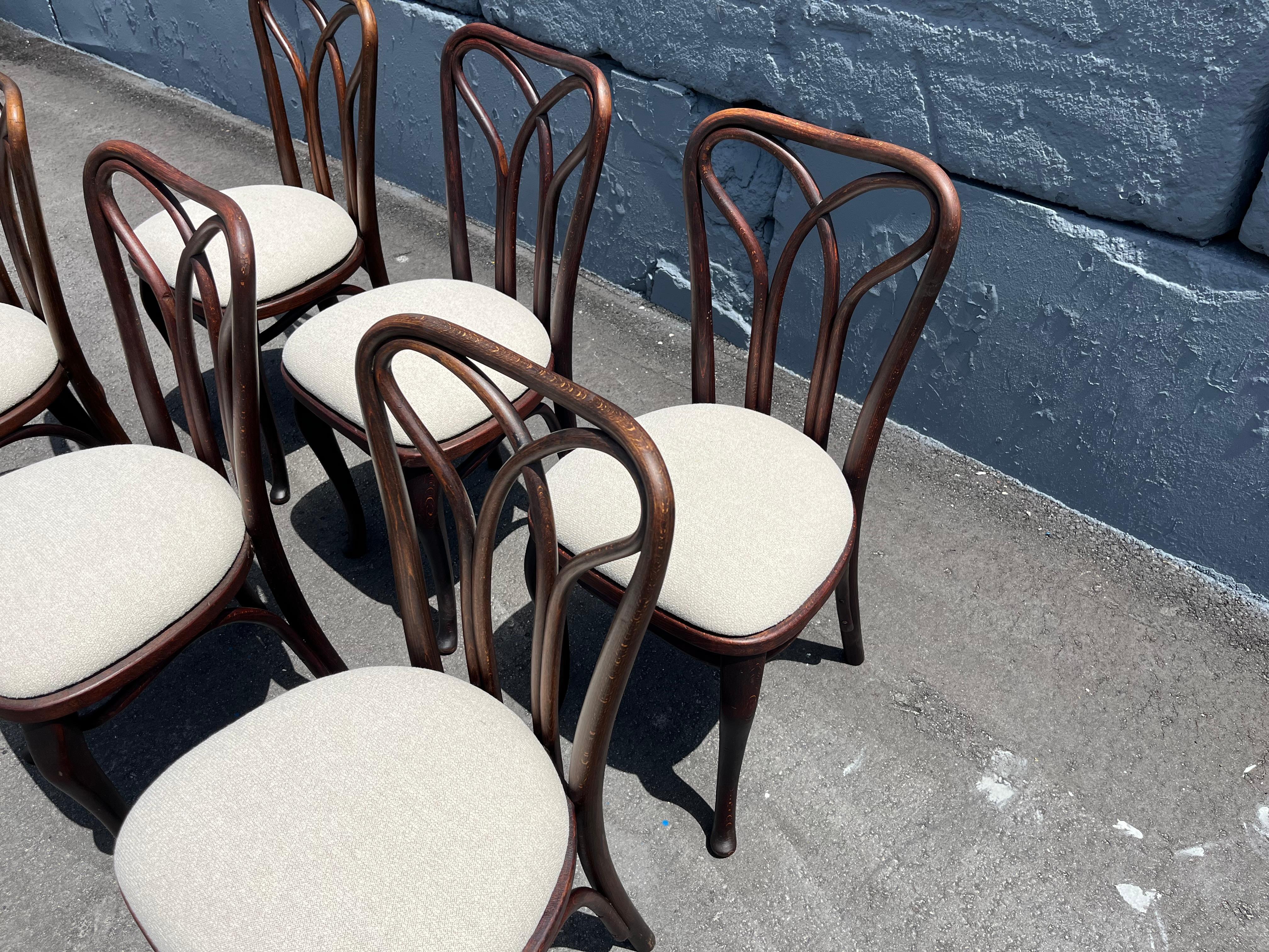 Rare Set of Six Thonet Dining Chairs For Sale 4