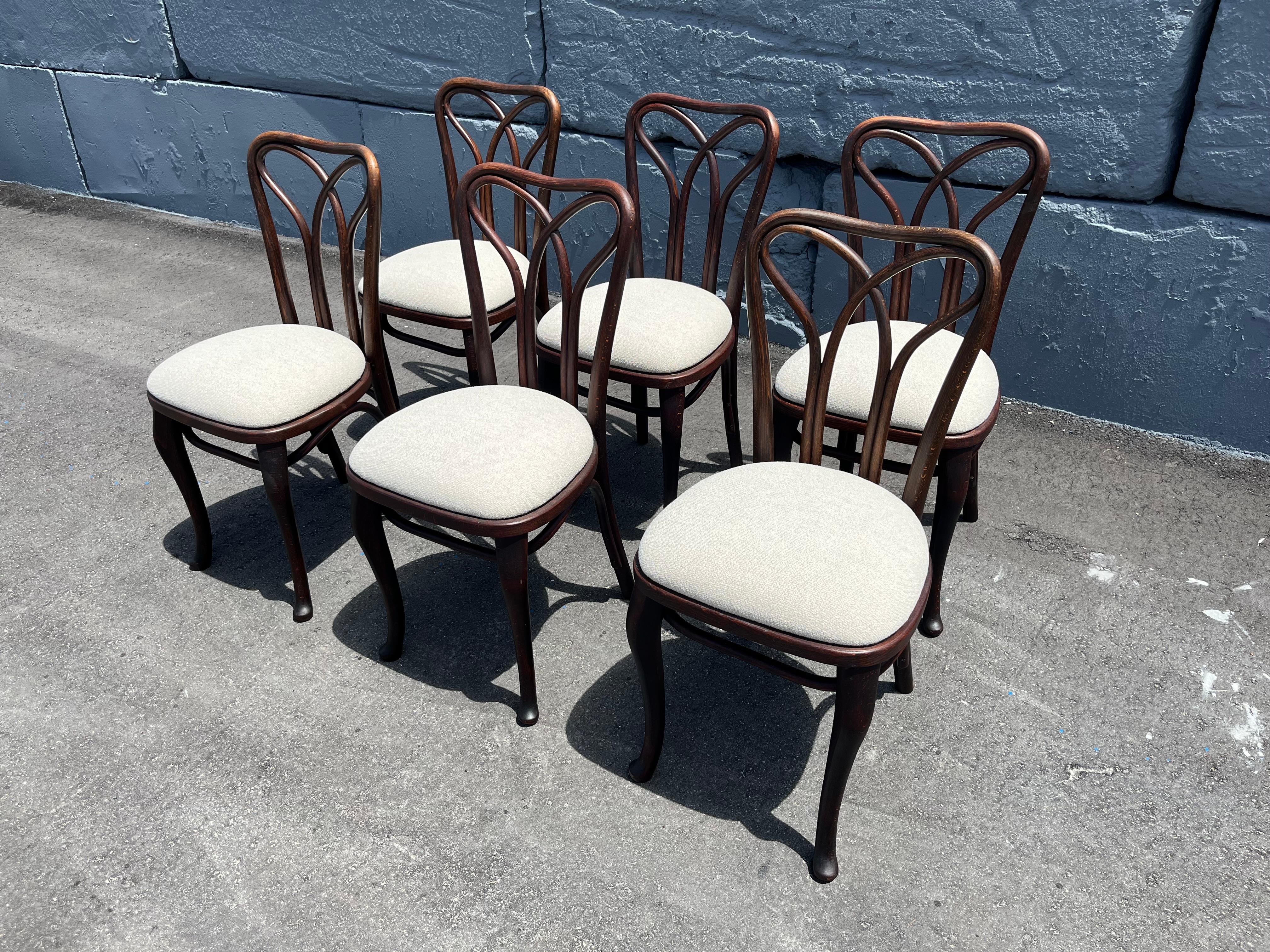 Rare Set of Six Thonet Dining Chairs For Sale 1