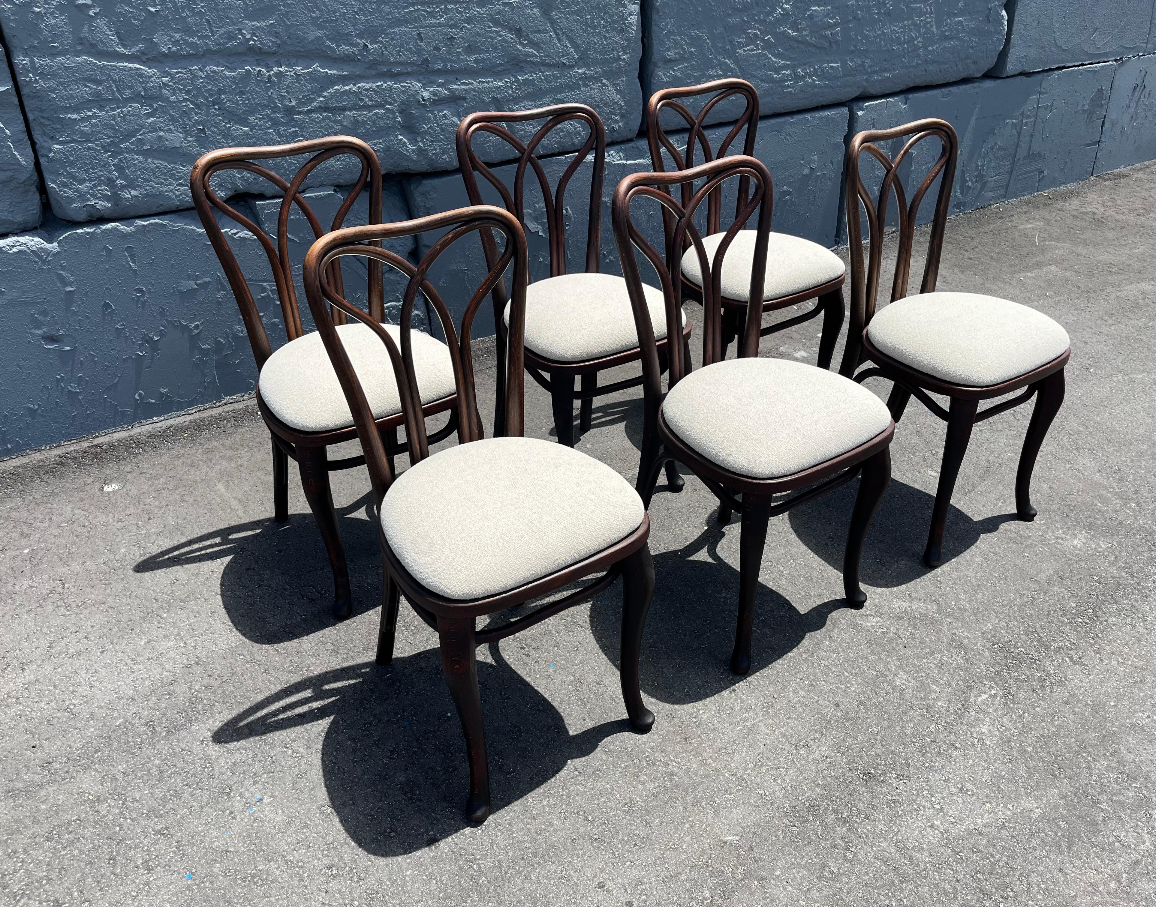 Rare Set of Six Thonet Dining Chairs For Sale 3