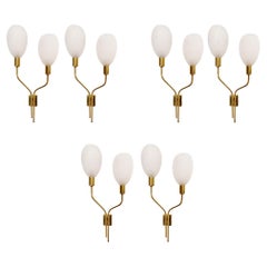 Rare Set of Six Mid-Century Modern Wall Lights in white glass paste - Italy 1950