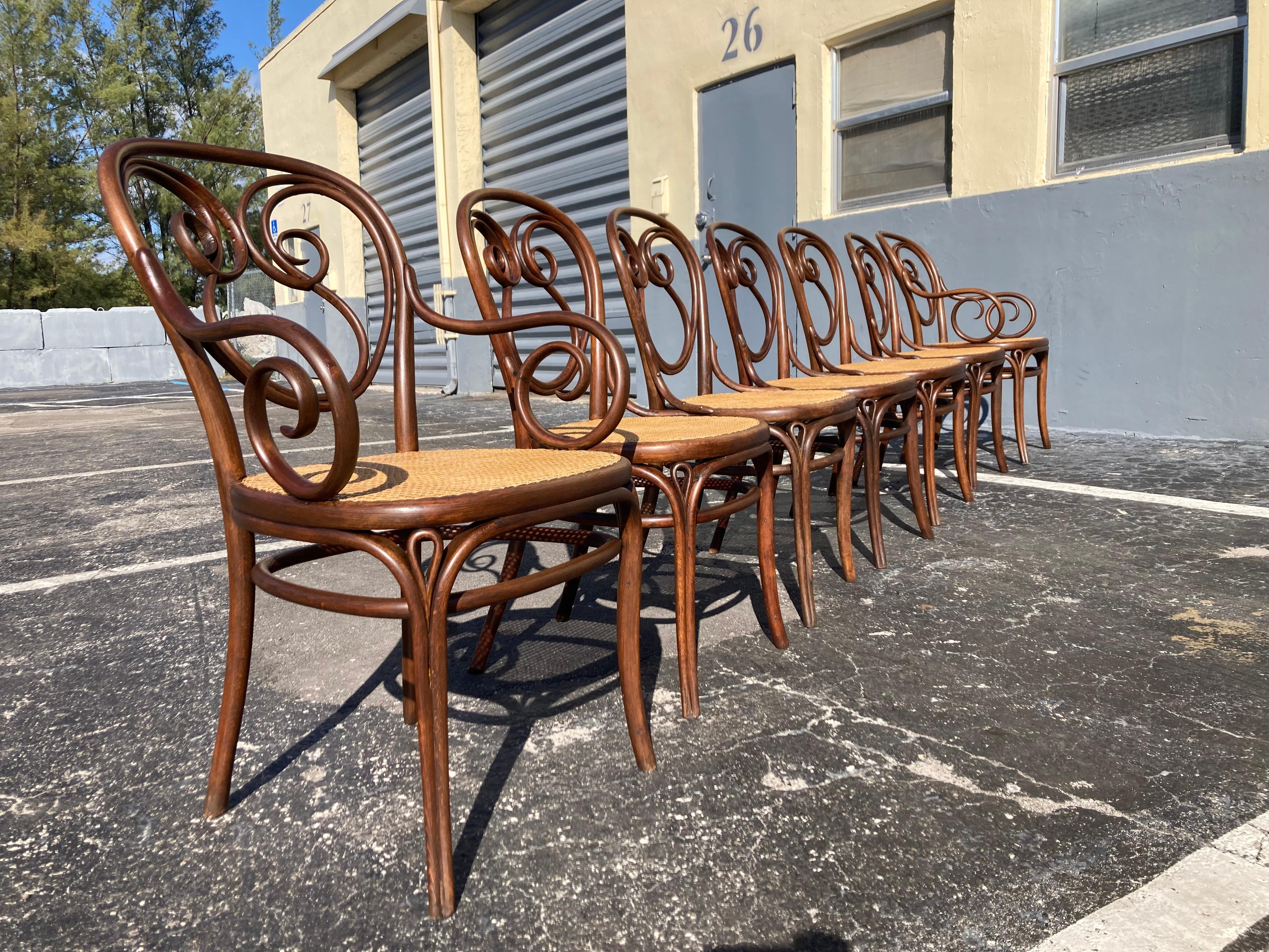 Rare Set of Thonet Chairs Model 13, Bentwood and Cane For Sale 8