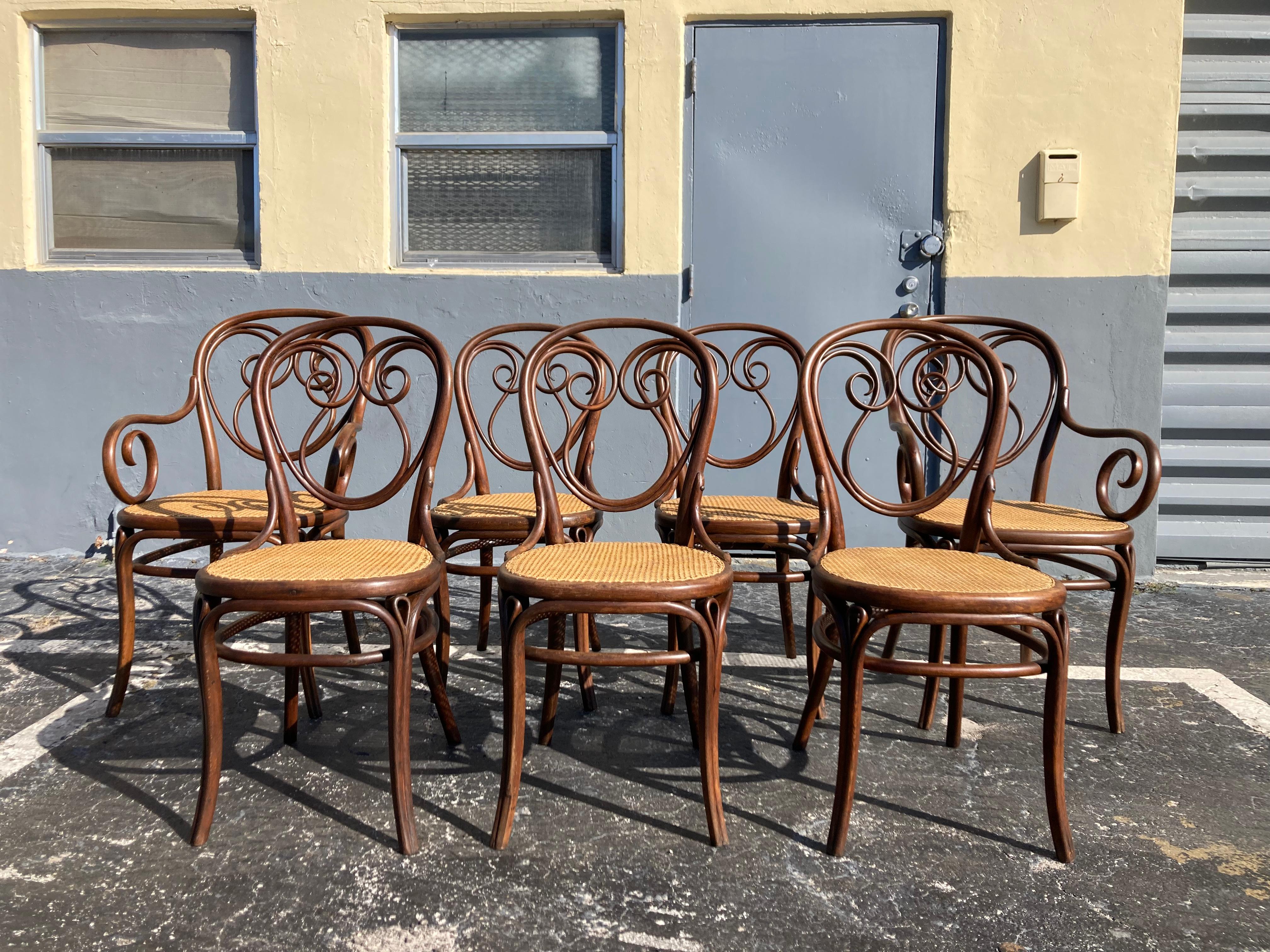 Autrichien Rare ensemble de chaises Thonet modèle 13, en bois cintré et rotin en vente
