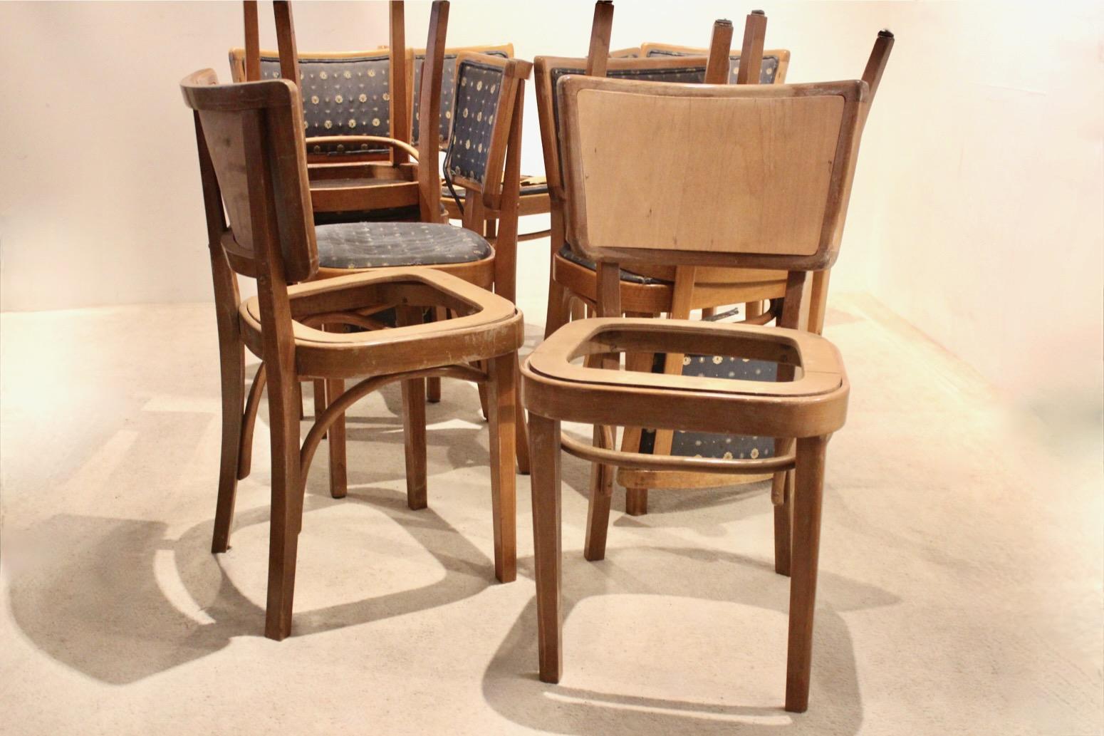 Raro juego de sillas de bistro Thonet de madera curvada sin tapizar, etiquetadas y estampadas Austríaco