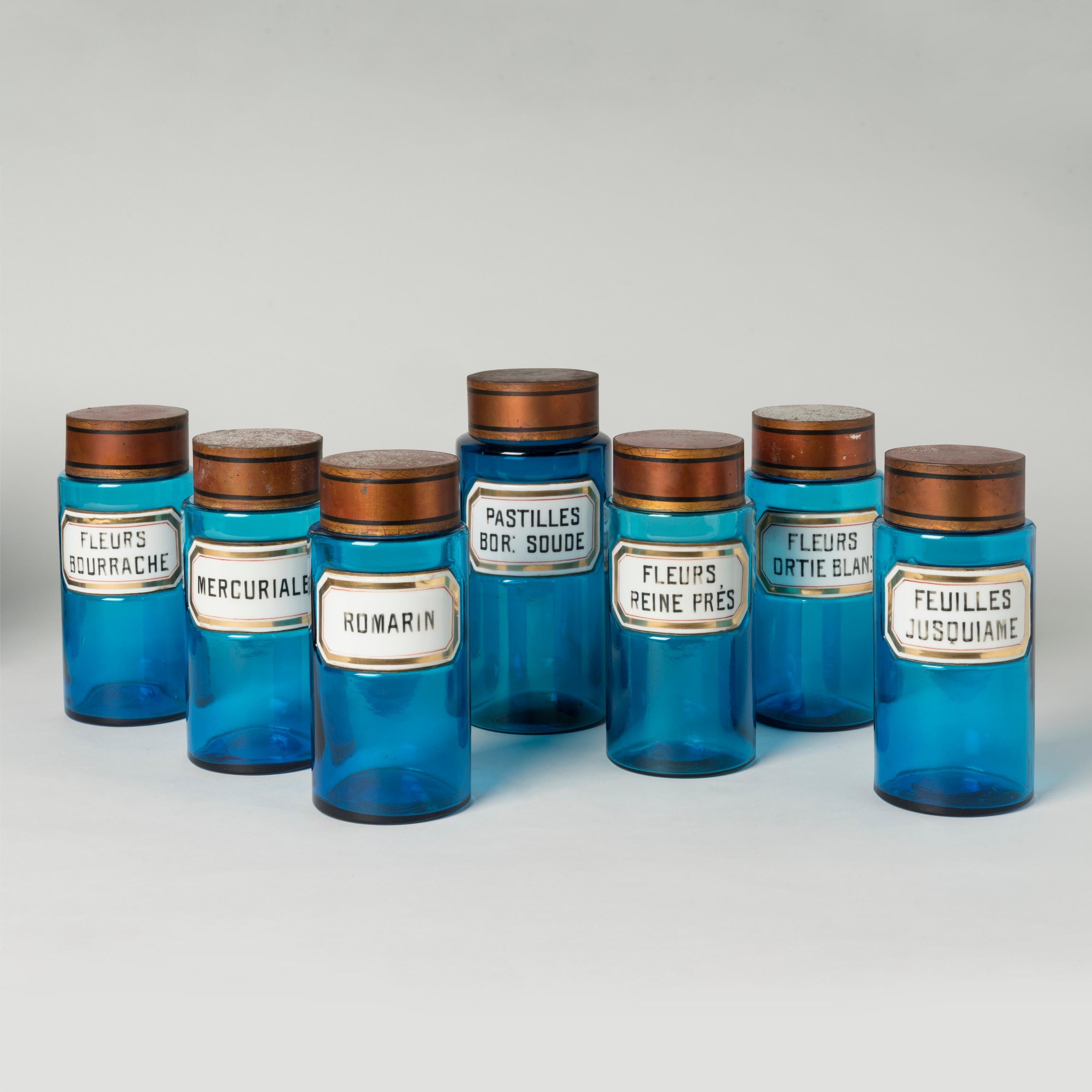 Francese Raro set di dodici barattoli e bottiglie da farmacia in vetro blu francese del XIX secolo in vendita