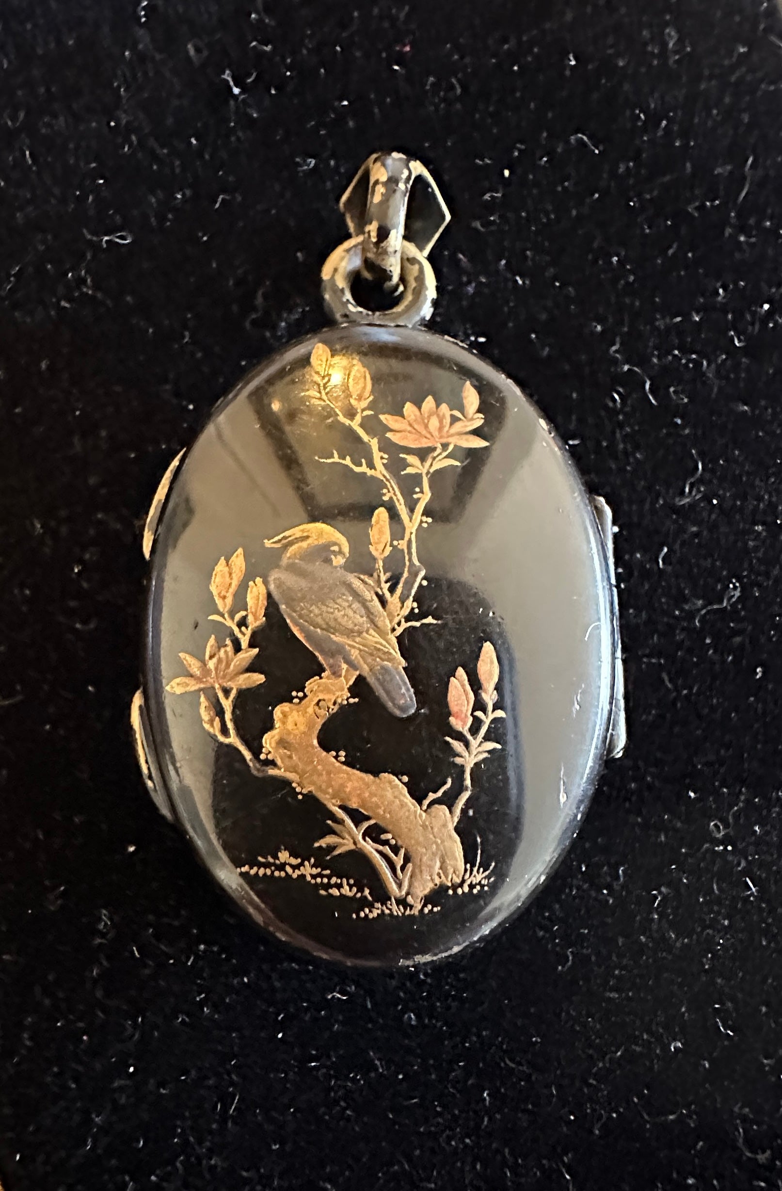 Here we have a very rare Japanese Shakudo Locket Pendant with images of a bird or Parrot or Cockatoo sitting in a tree on one side and an open and closed fan on the other.  The locket is a stunning example of Shakudo with the grace and proportion of