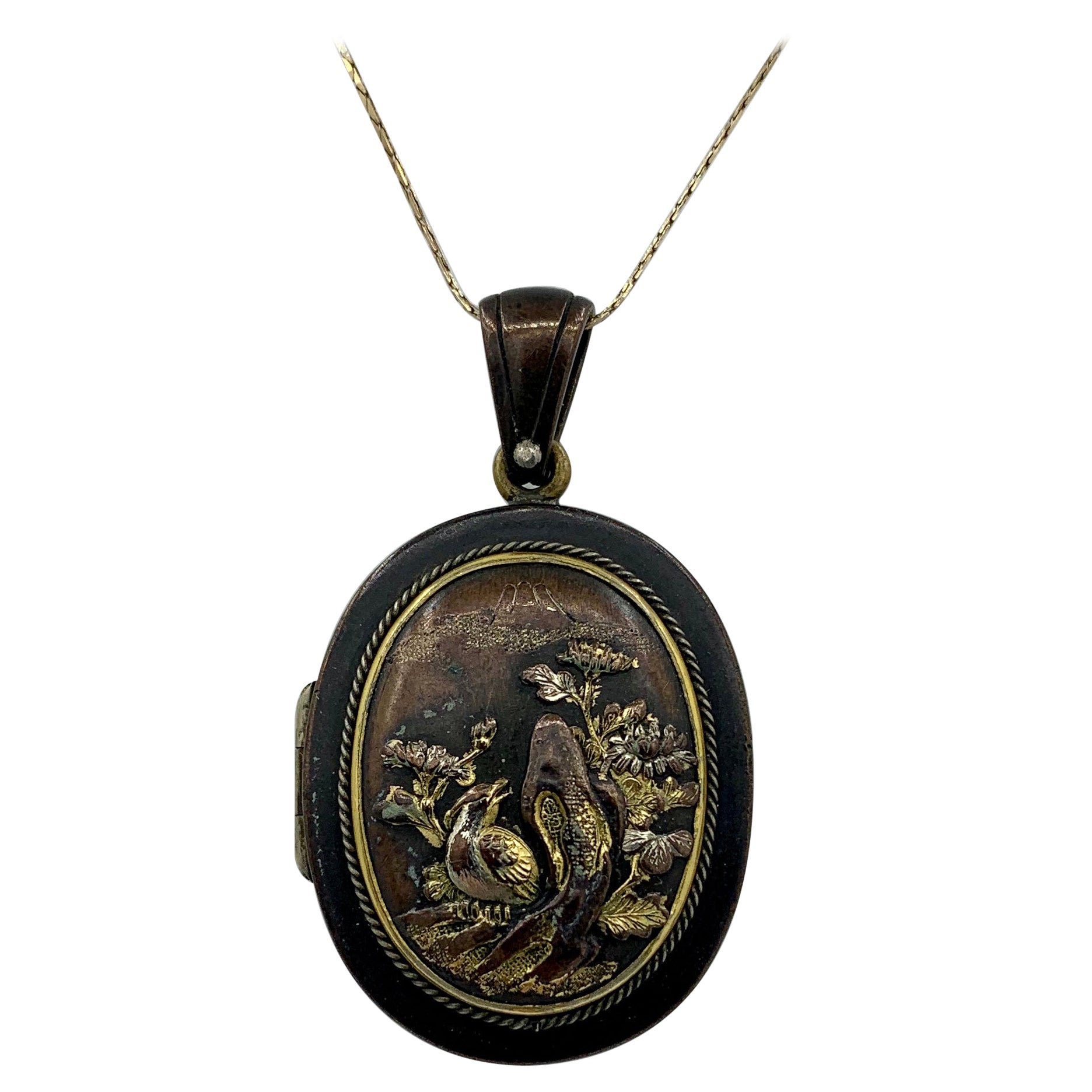 Rare Shakudo Locket Pendant Necklace Bird Rickshaw Mount Fuji Japan Antique