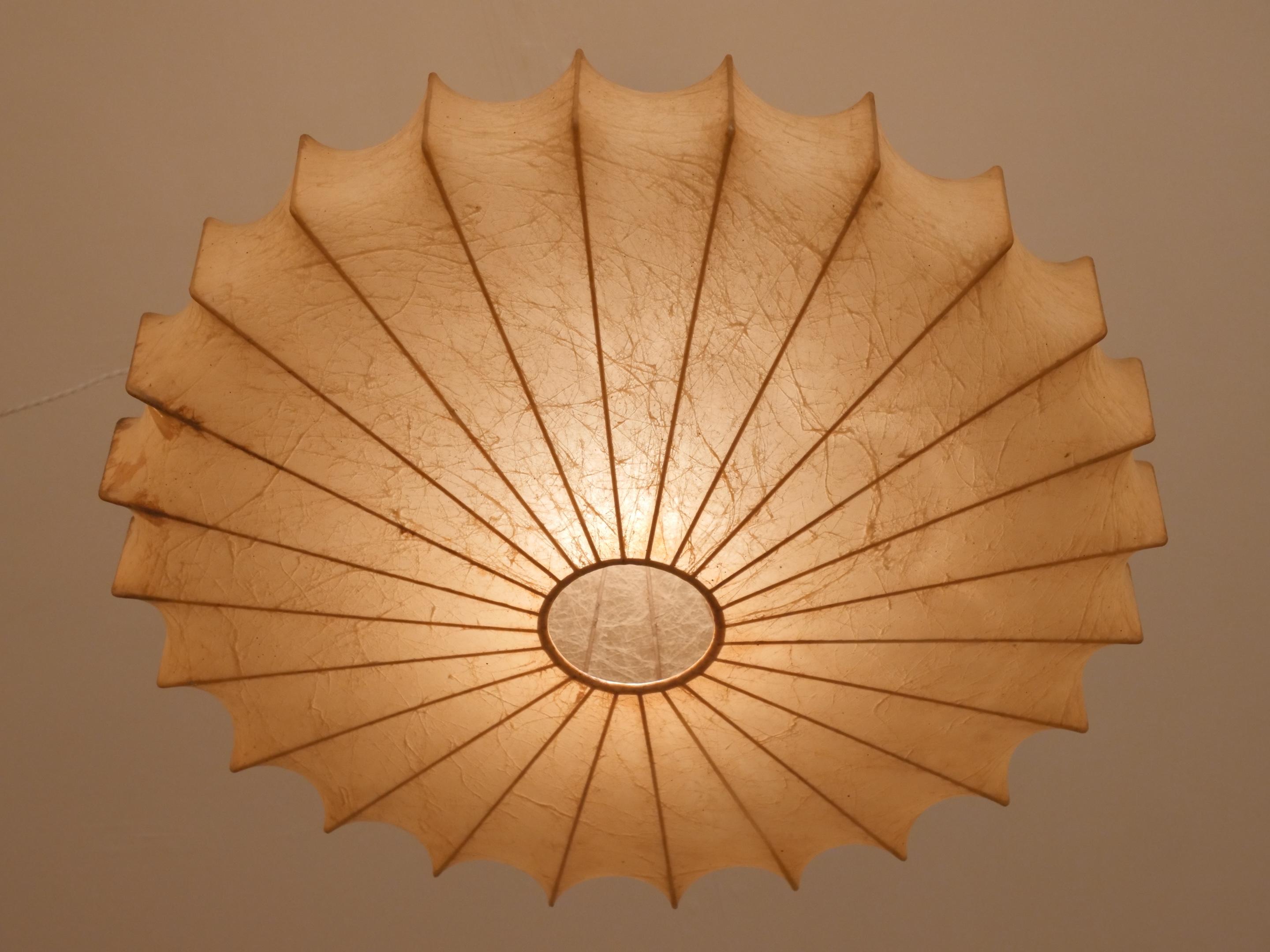 Mid-Century Modern Rare shape cocoon chandelier
