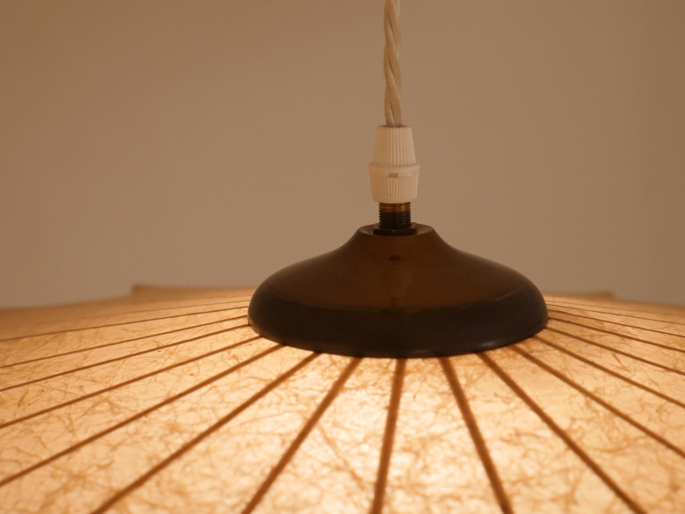 Mid-20th Century Rare shape cocoon chandelier