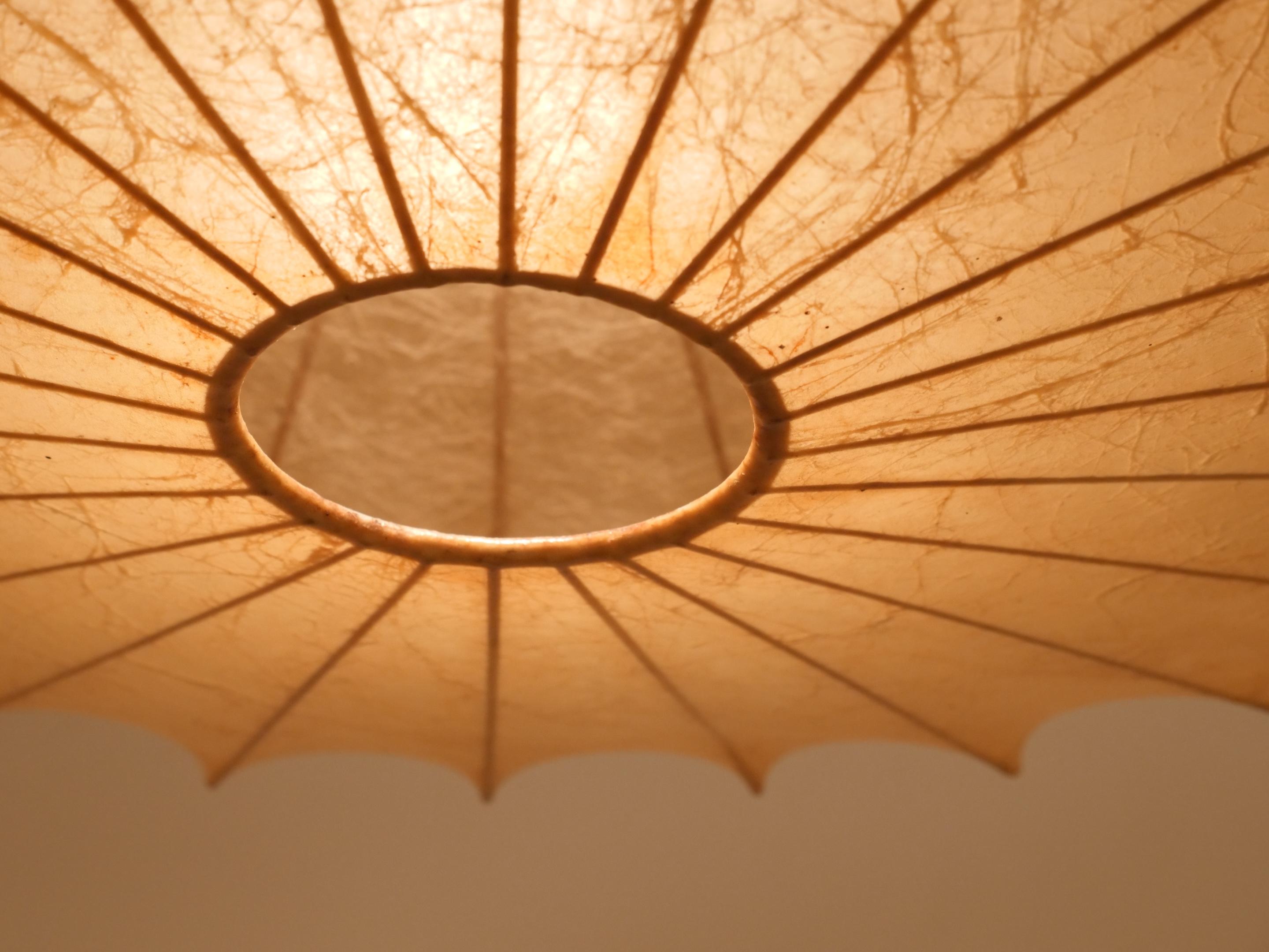 Metal Rare shape cocoon chandelier