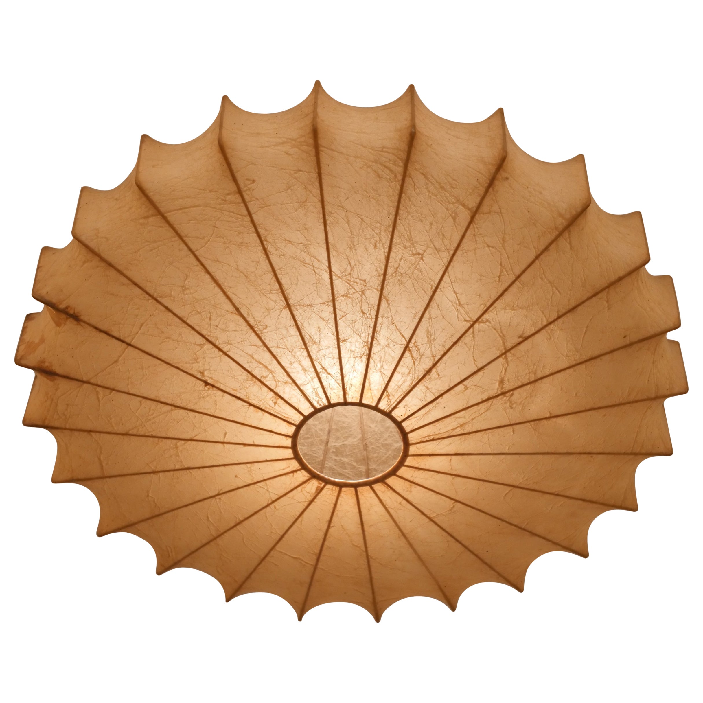 Rare shape cocoon chandelier