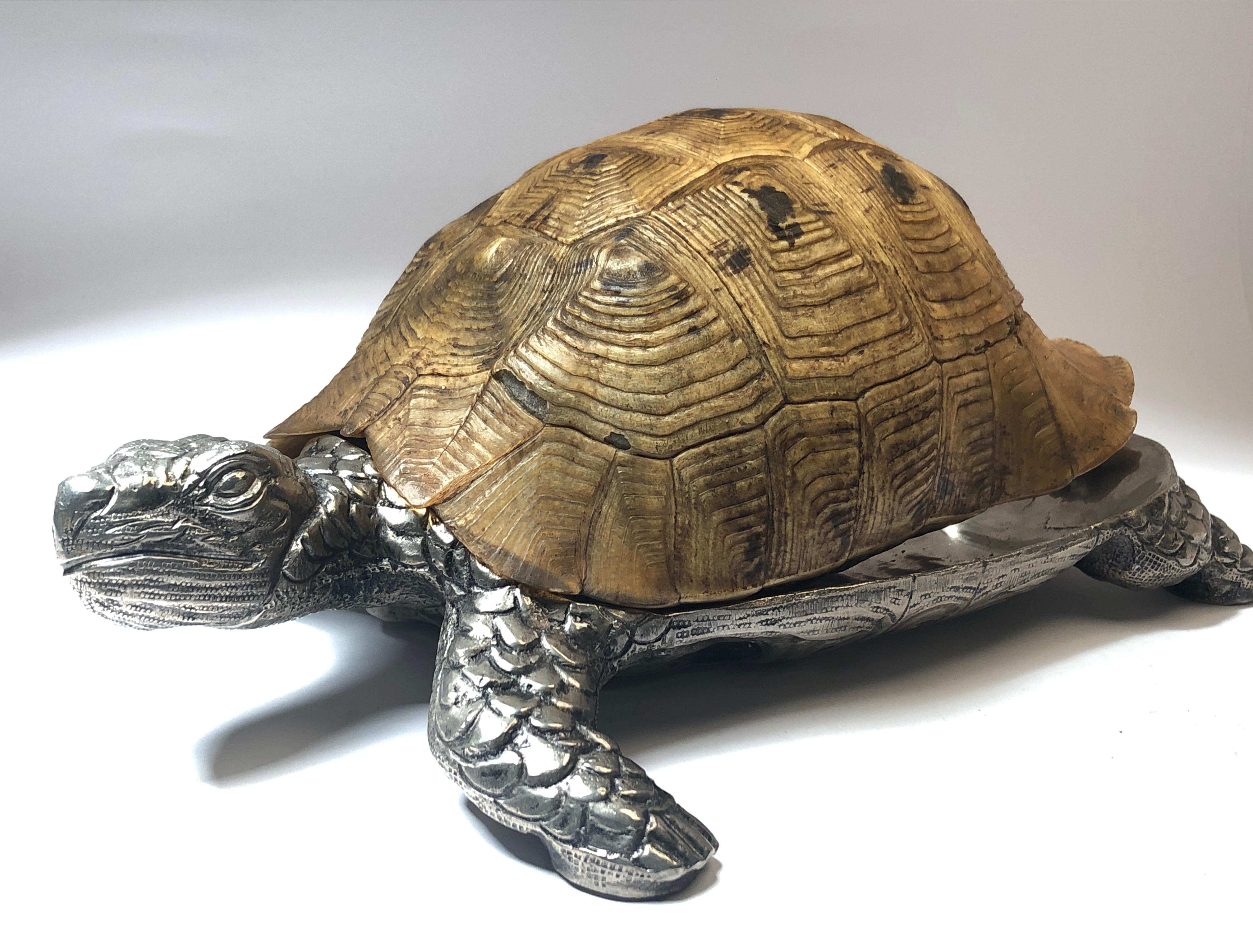 Rare Signed Gabriella Crespi large real turtle shell box combined with silver sculpture.

1970s, made in Italy. 

This piece is in near excellent condition with ageing wear on the shell. No estructural damages.

Signed on the hinge.

Please study
