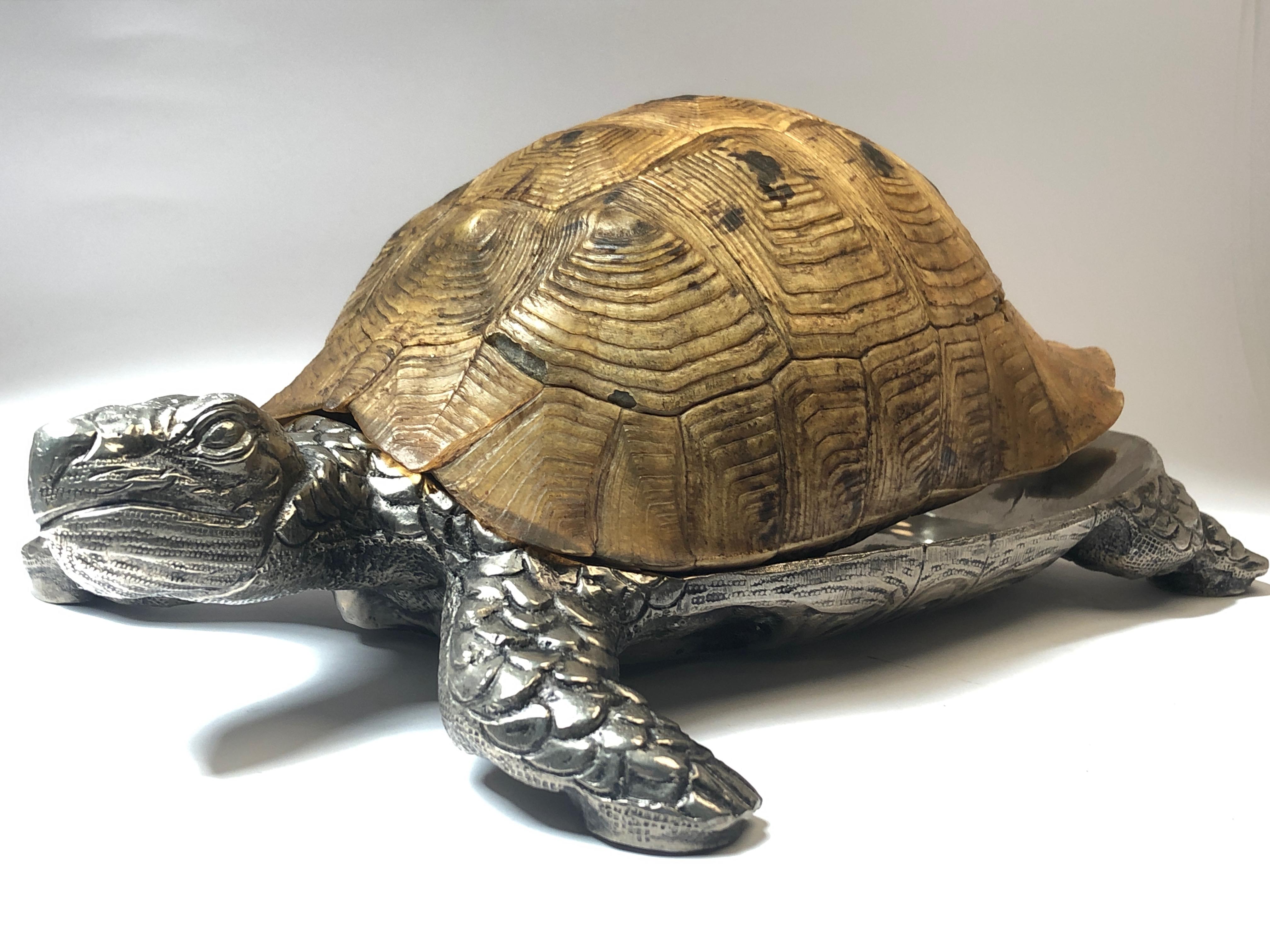 Italian Rare Signed Gabriella Crespi Large Real Turtle Shell Box Silver Sculpture, 1970