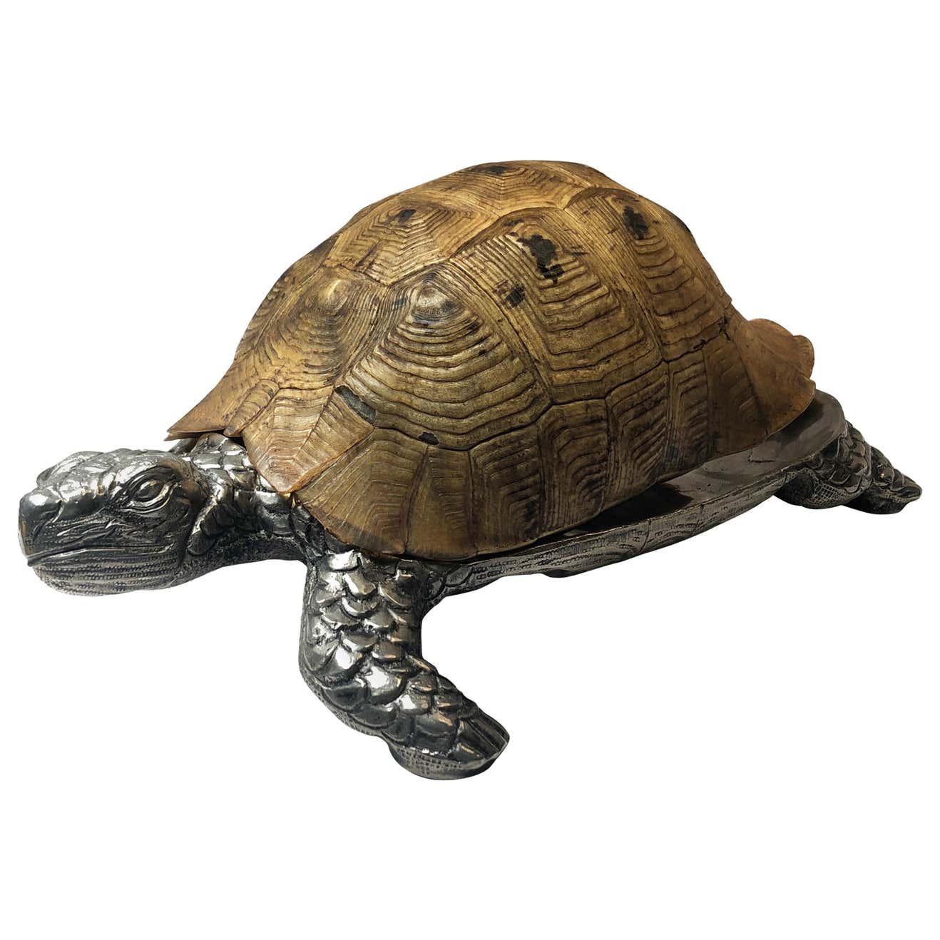 Rare Signed Gabriella Crespi Large Real Turtle Shell Box Silver ...