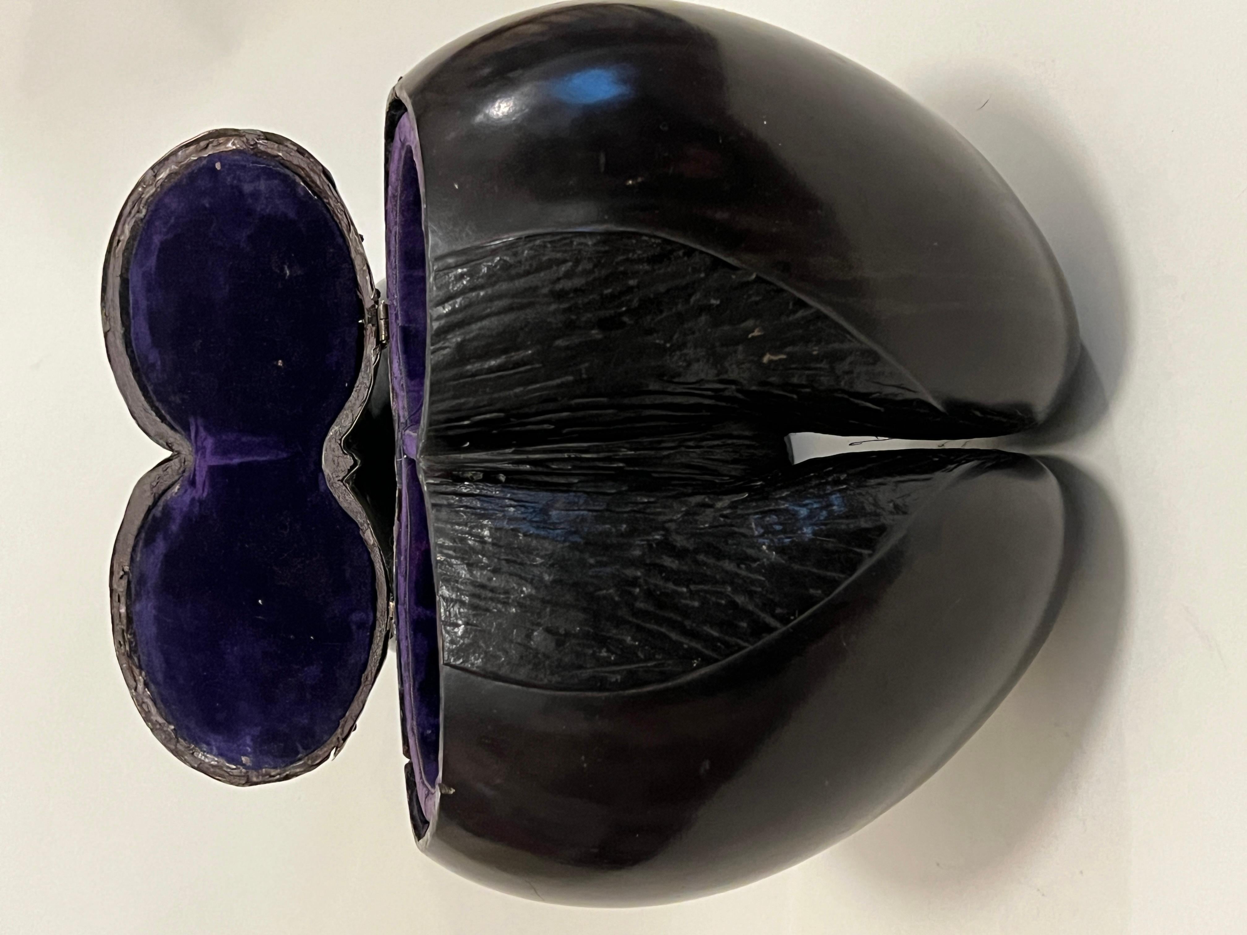 Rare Silver-mounted, Velvet-lined Coco de Mer, 19th Century 7