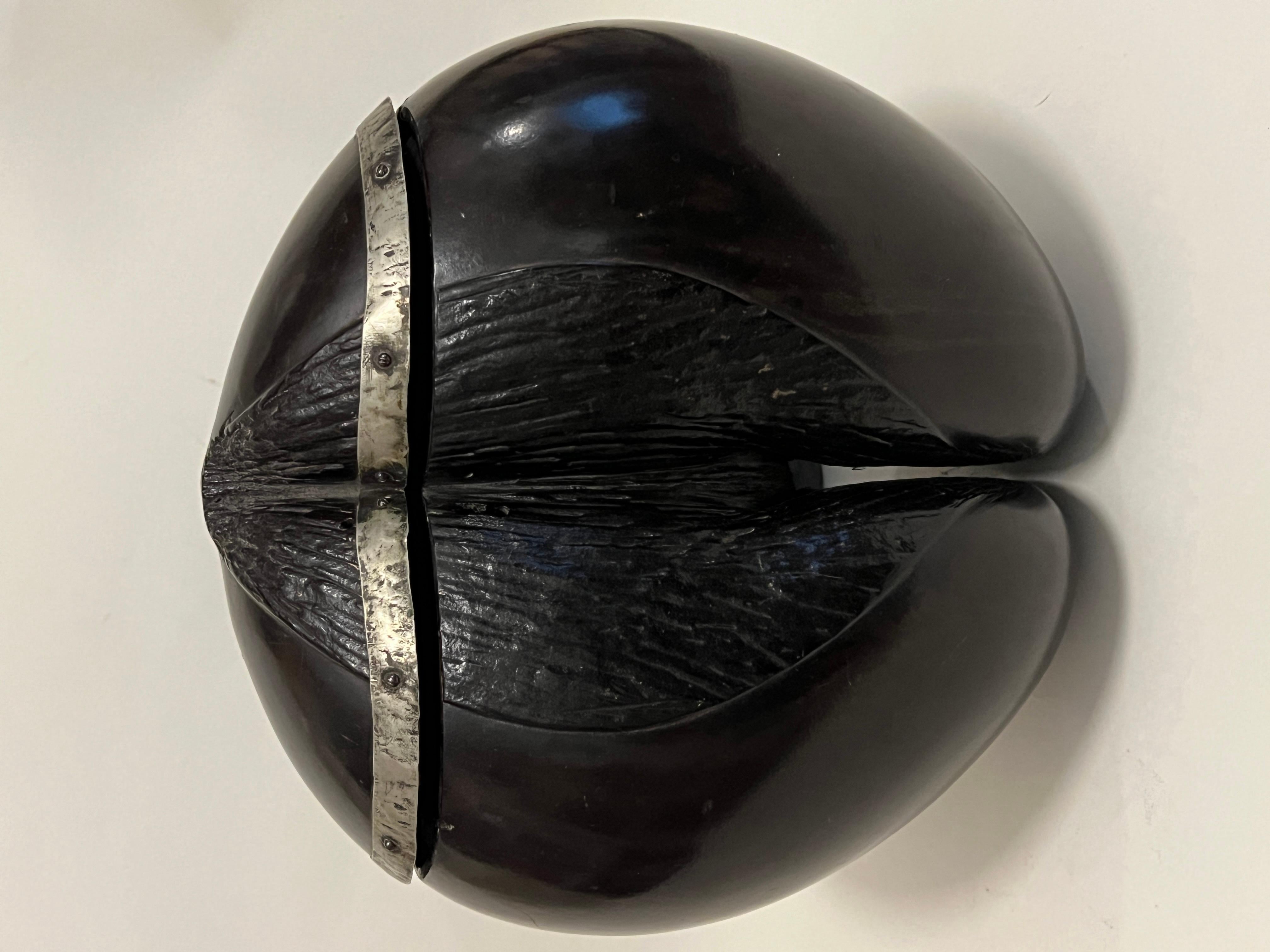 Rare Silver-mounted, Velvet-lined Coco de Mer, 19th Century 10