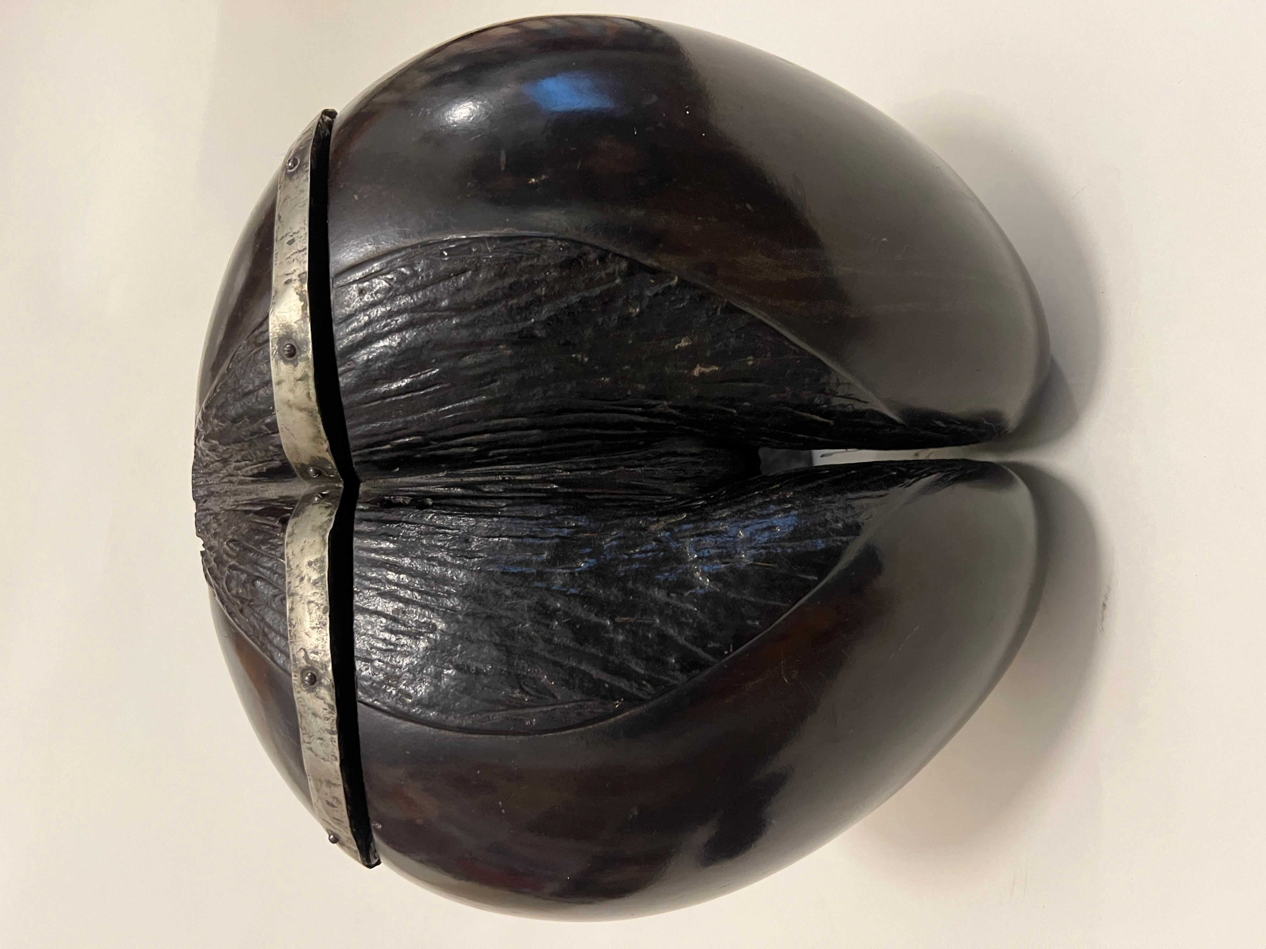 This rare hinged silver-mounted 19th century specimen of a Coco de Mer coconut opens to reveal a velvet-lined interior with a removable tray which may have been used to store valued objects. These prized cocoanuts were often sourced in the