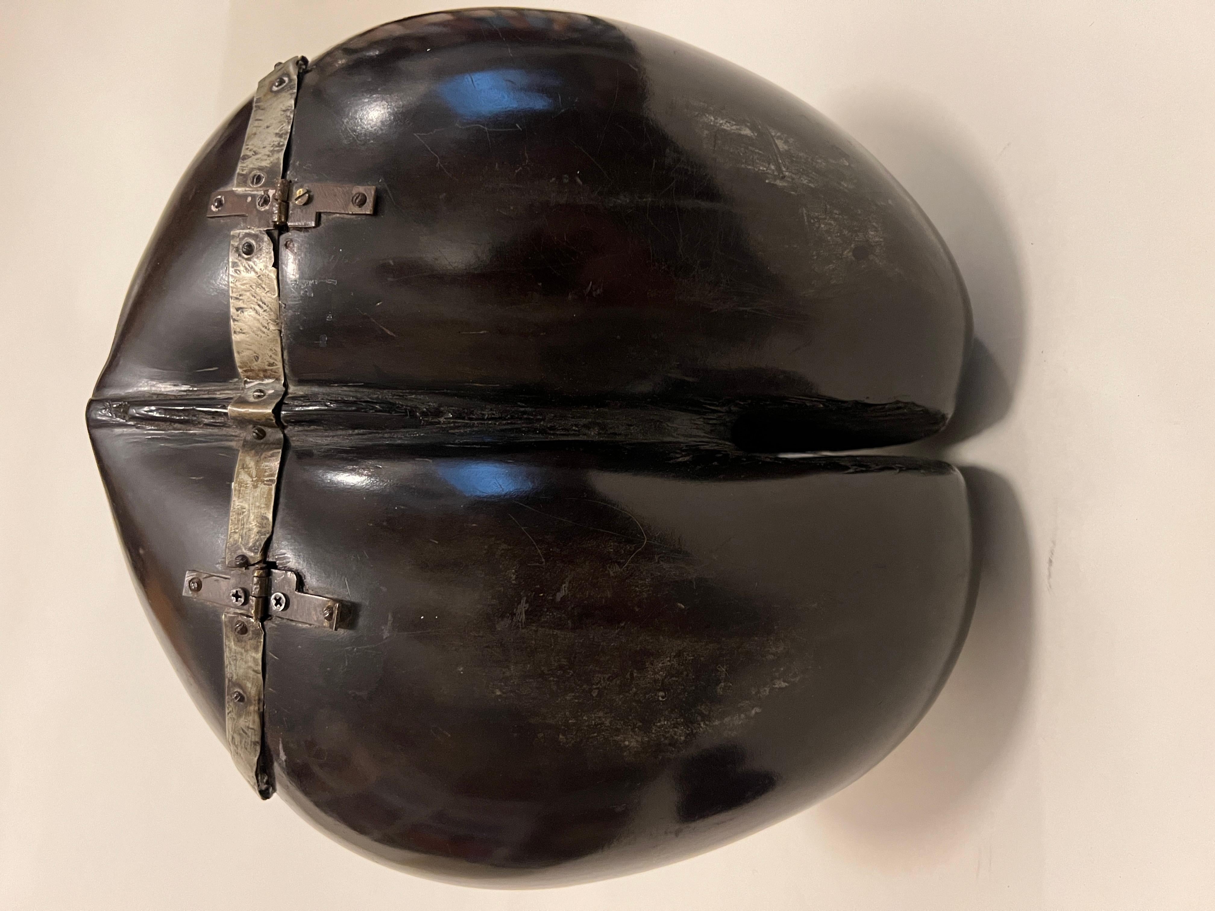 Rare Silver-mounted, Velvet-lined Coco de Mer, 19th Century In Good Condition In Miami Beach, FL