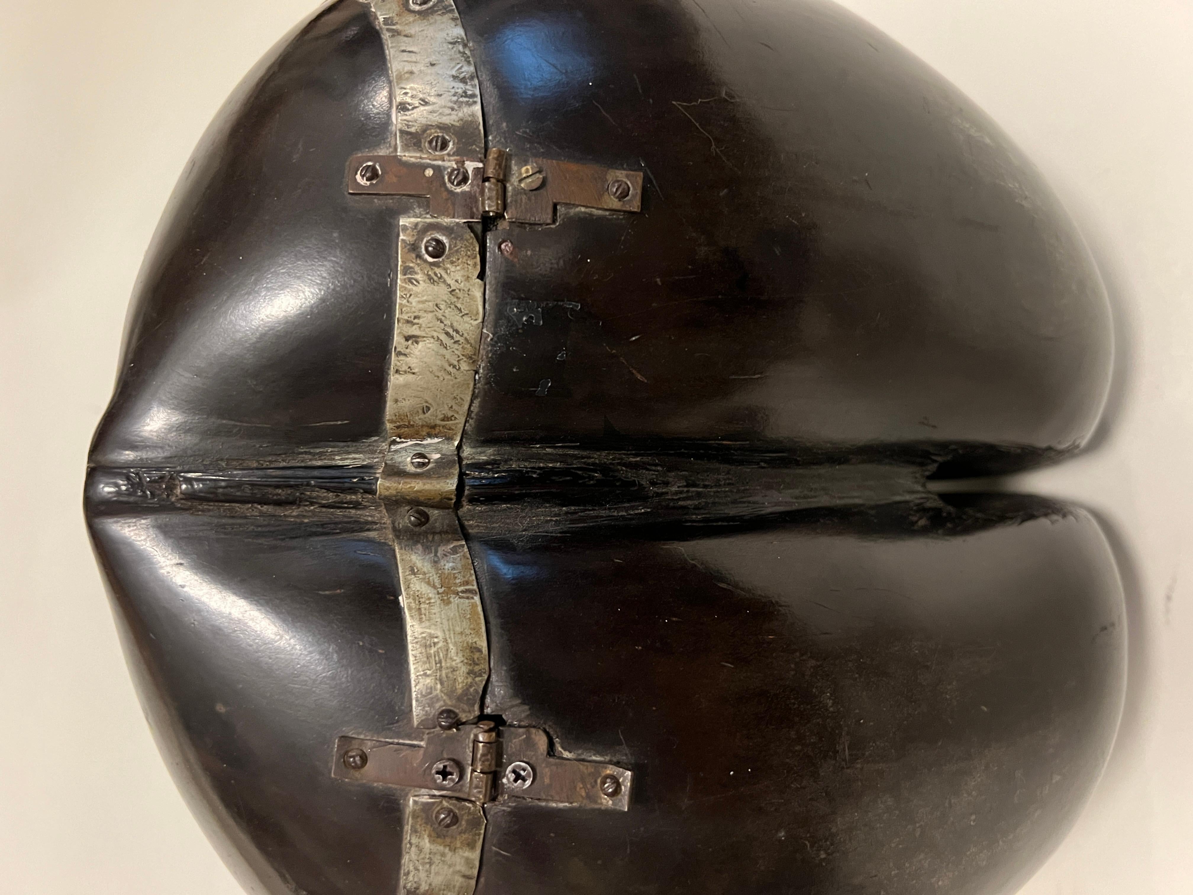 Rare Silver-mounted, Velvet-lined Coco de Mer, 19th Century 1