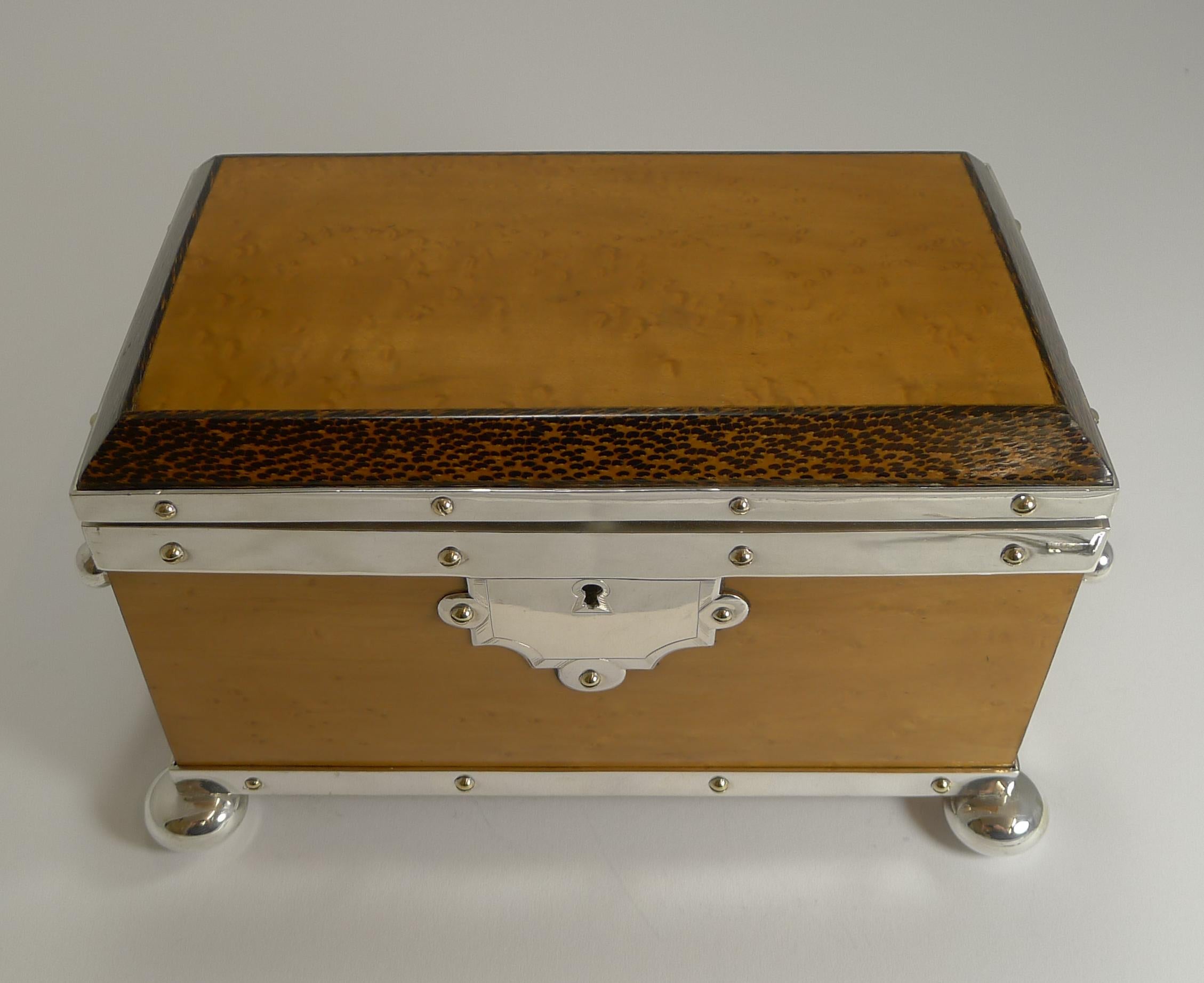 Late 19th Century Rare Silver Plated Mounted Bird's-Eye Maple and Palm Wood Tea Caddy, circa 1890