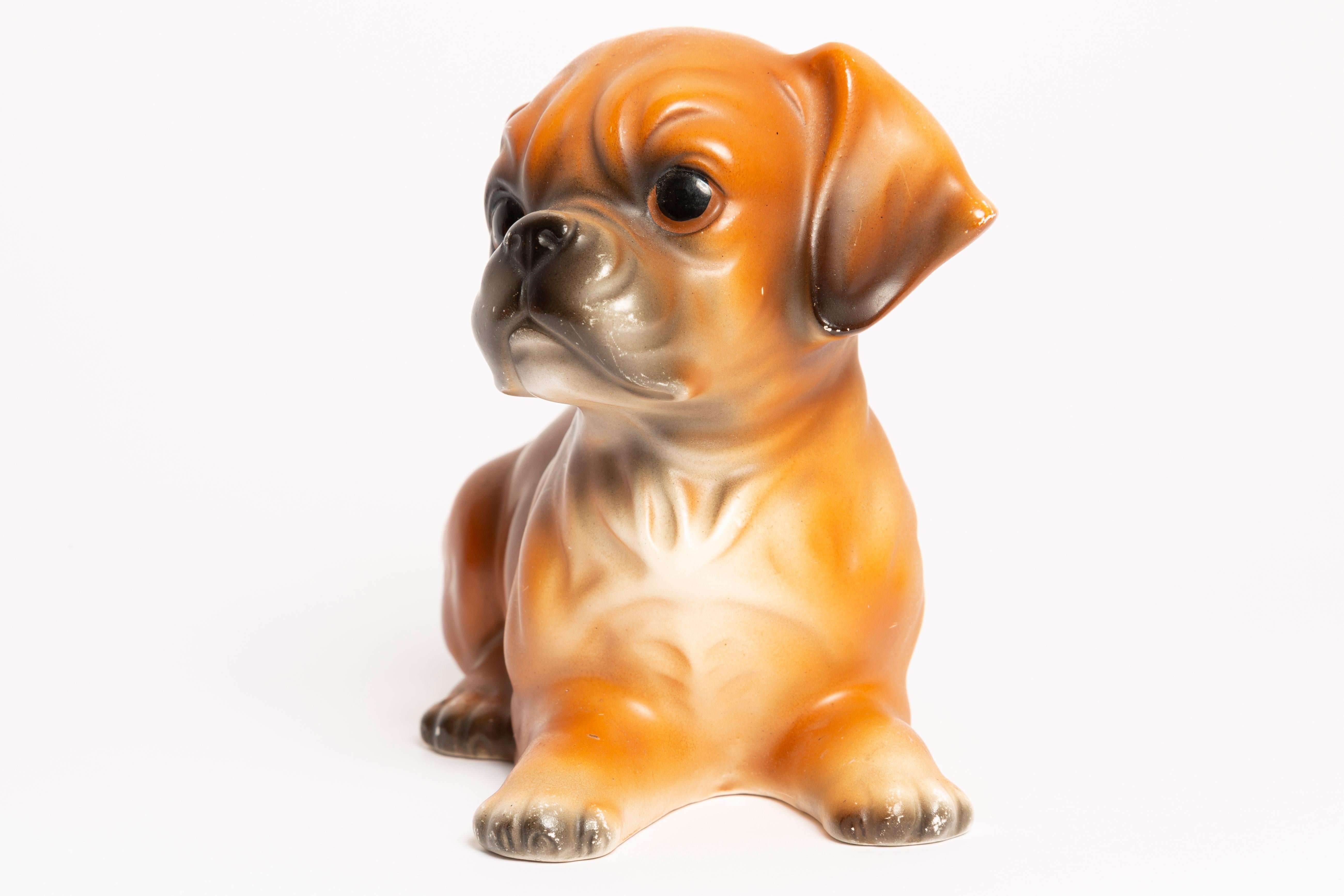 Rare Small Boxer Dog Decorative Sculpture, Italy, 1960s 3