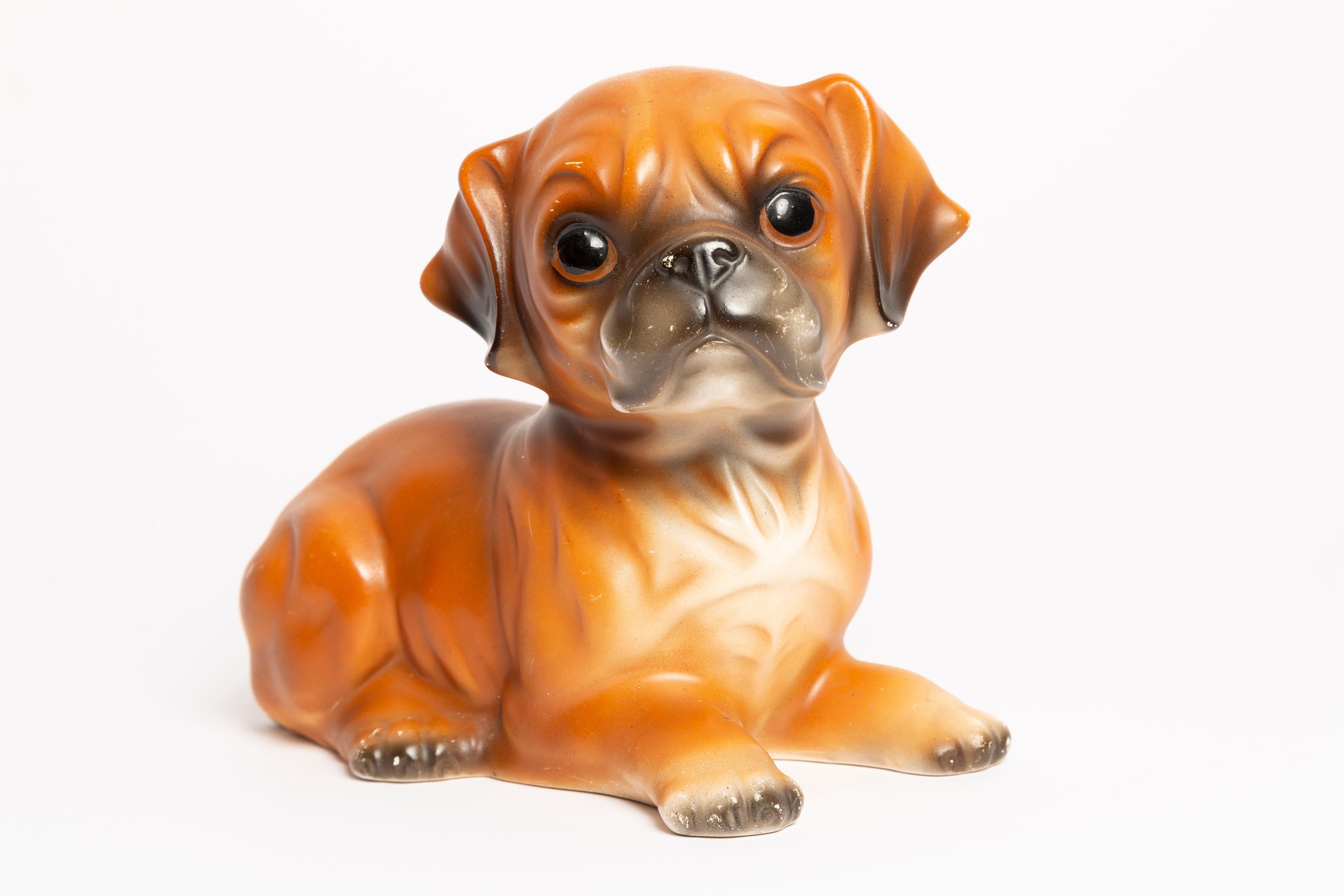 Rare Small Boxer Dog Decorative Sculpture, Italy, 1960s 4