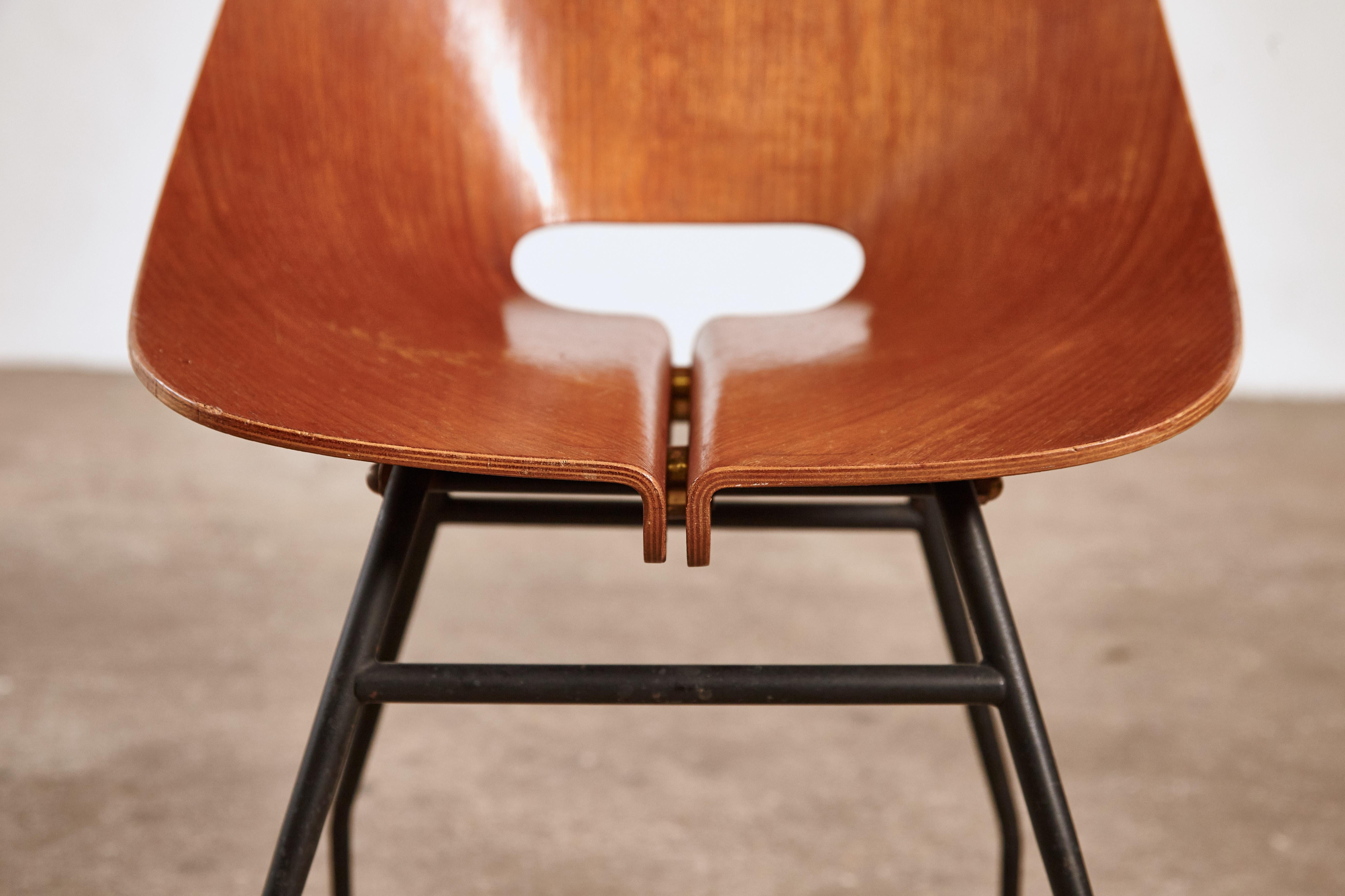 Rare Societa Compensati Curvati Chair, Italy, 1950s For Sale 3