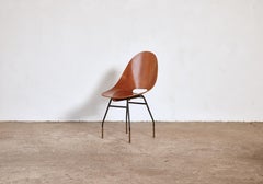 Rare Societa Compensati Curvati Chair, Italy, 1950s