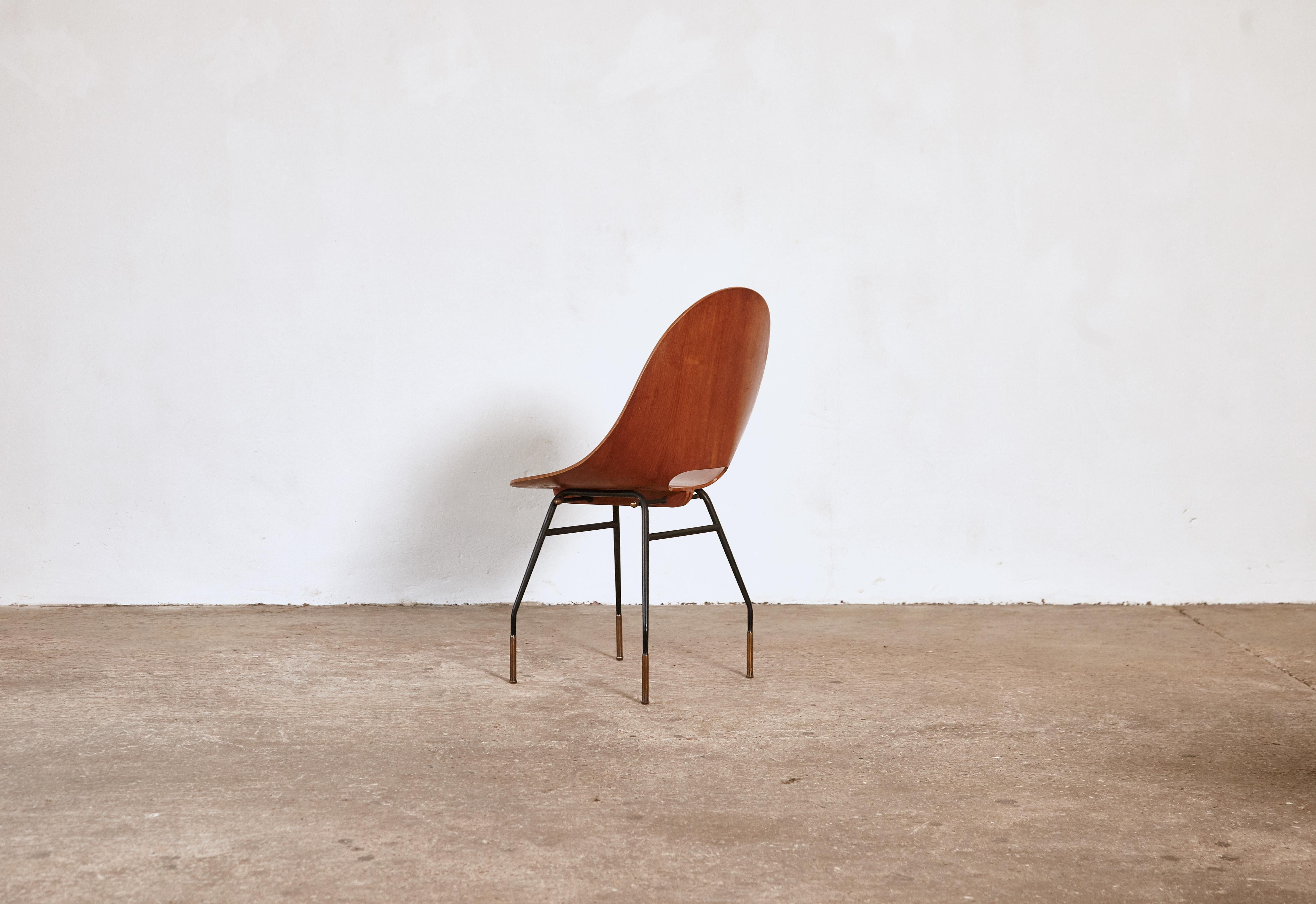 Italian Rare Societa Compensati Curvati Chair, Italy, 1950s For Sale