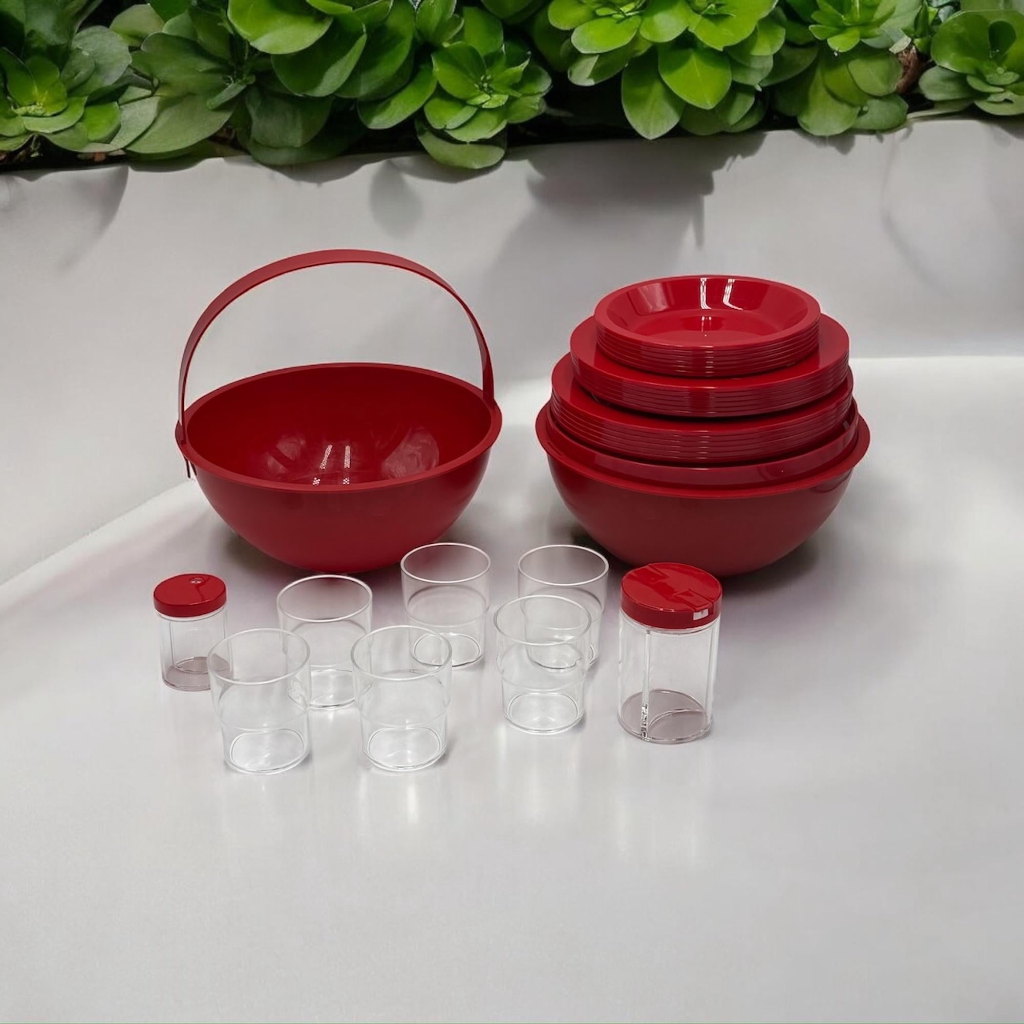 Rare Space Age Picnic Set ‘Pic Boll’ by Carlo Viglino for Guzzini, 1960s For Sale 5