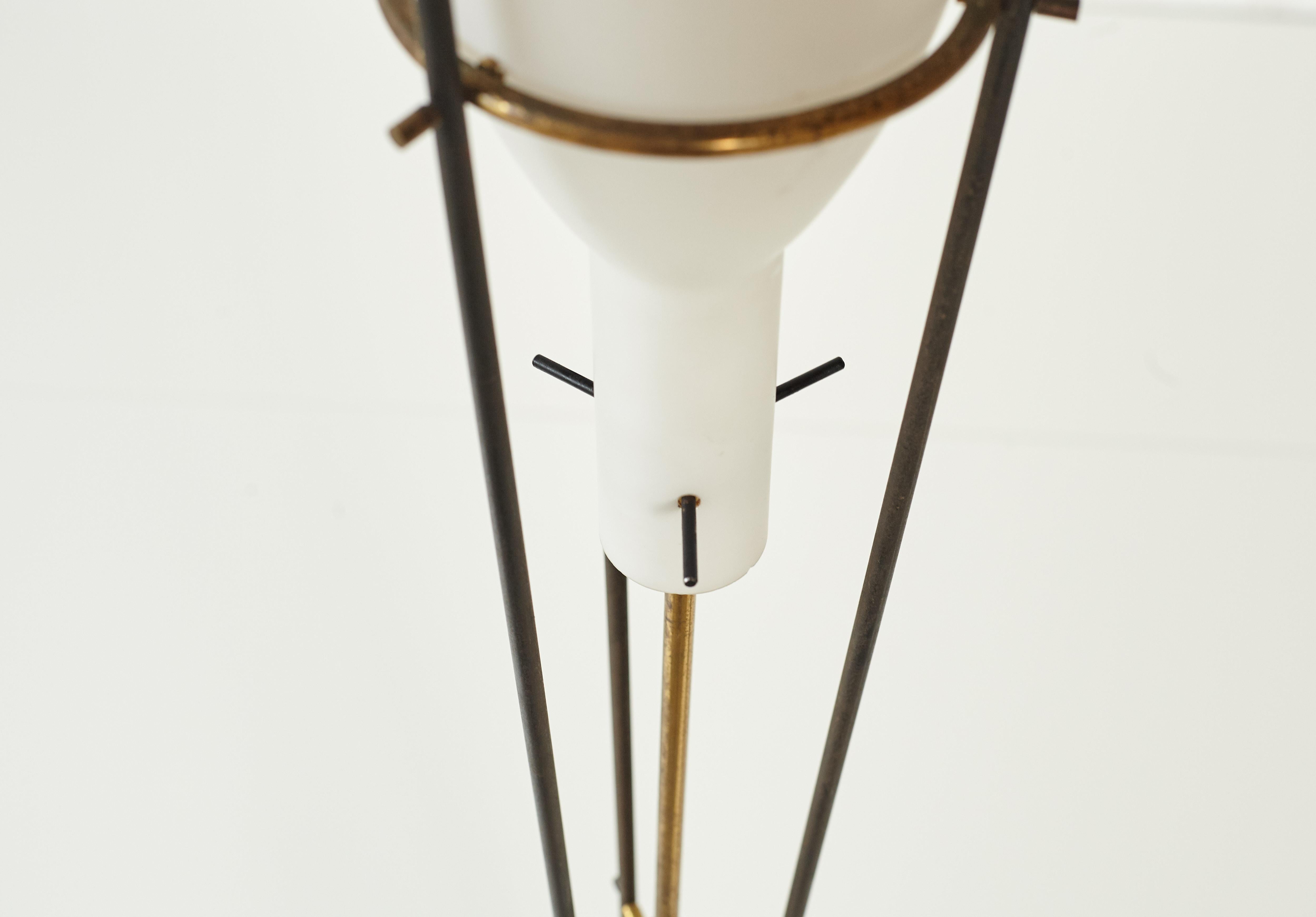 Rare Stilnovo Floor Lamp, Italy, 1950s 1