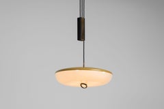 Rare Stilnovo model 1177 pendant pulley Italy 1960