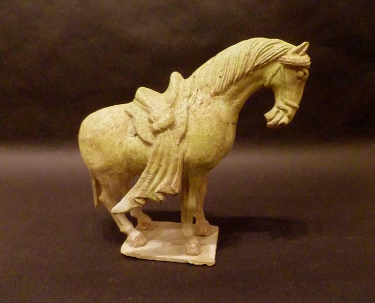Magnificent Tang Dynasty Prancing Horse, TL Test by ASA 