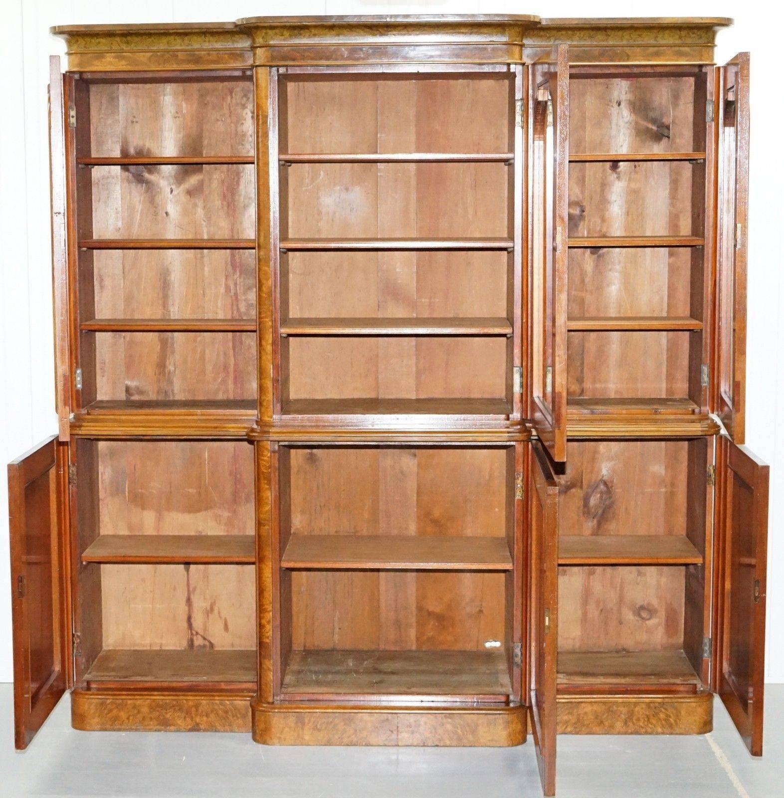 Rare Stunning Burr Walnut William IV 1830 Breakfront Library Bookcase Regency 4