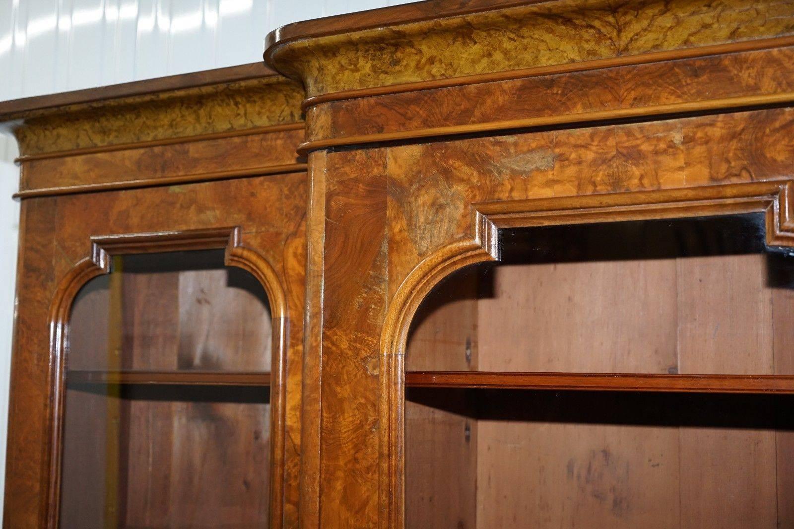 Rare Stunning Burr Walnut William IV 1830 Breakfront Library Bookcase Regency 1