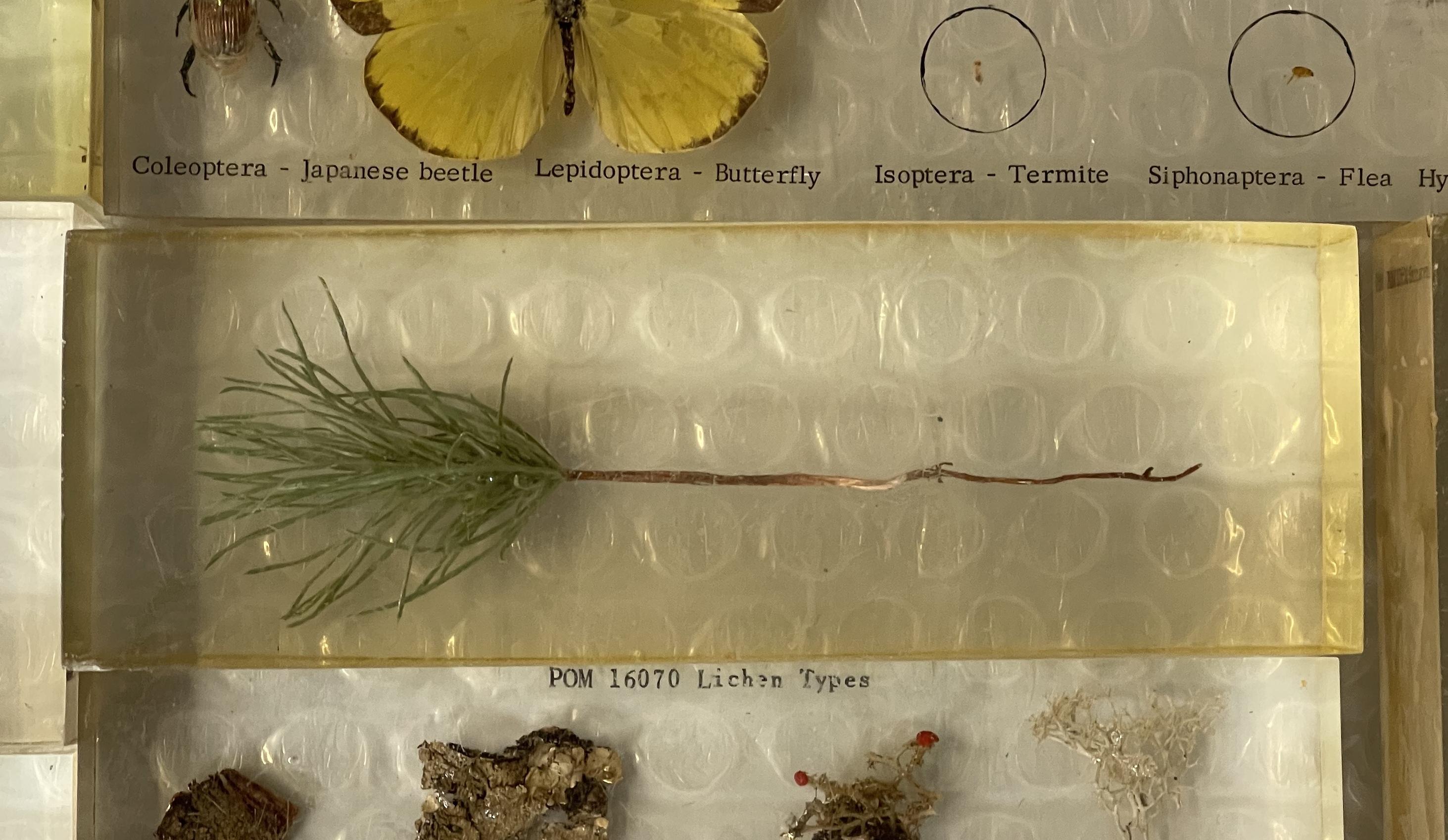 RARE SUITE DE MEUBLES DE MAISON D'HISTOIRE ORIGINAUX CASSÉES DANS DES SPÉCIFICATIONS DE PERSPEX en vente 1