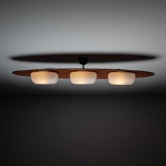 Rare "Surf" Ceiling Mount Fixture by Goffredo Reggiani