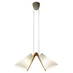 Rare Suspension Light by Luxus, Sweden 1950s