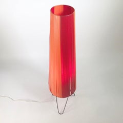 Rare Swedish Atomic Age Nisse Strinning 1950s Floor Lamp, Contemporary