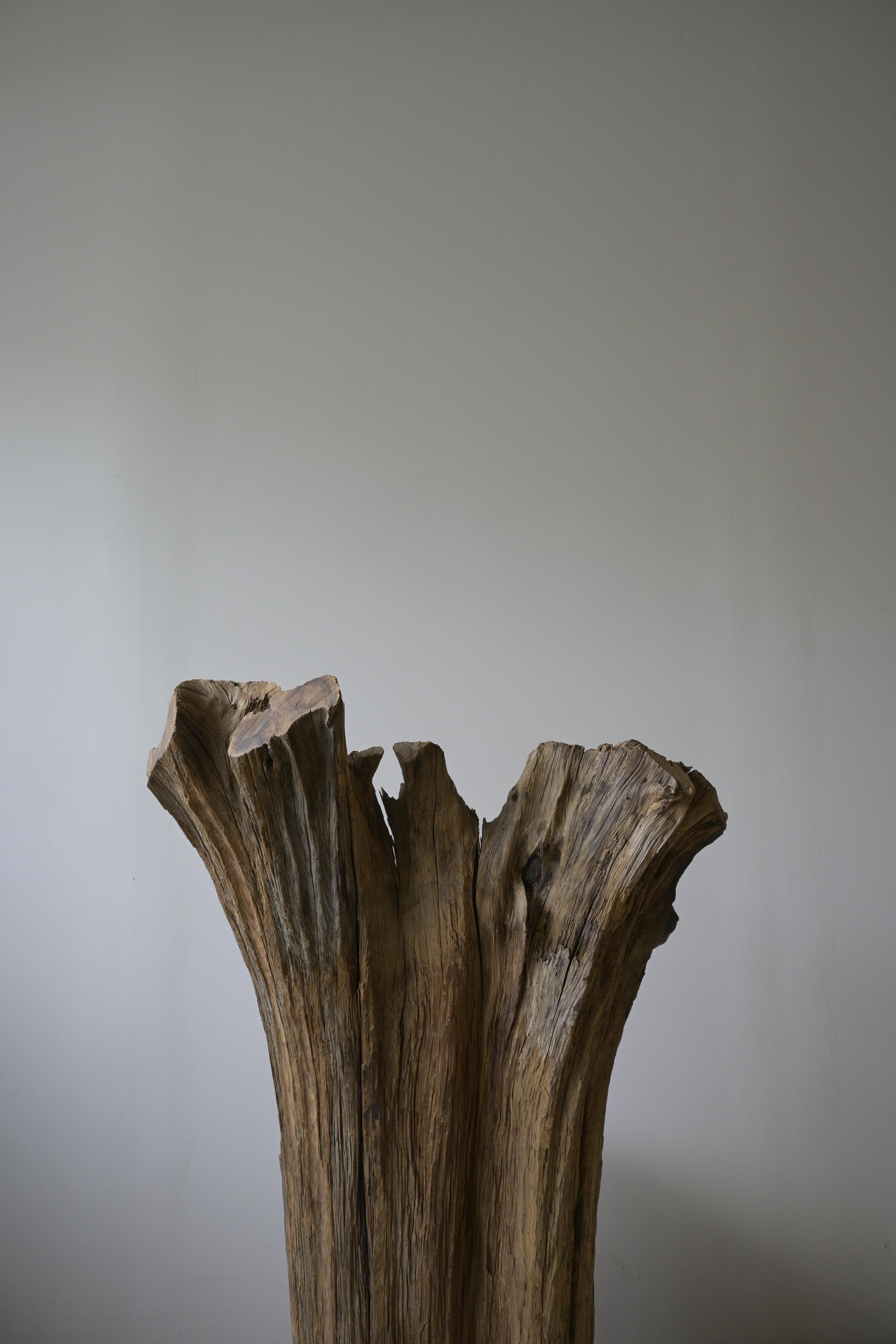 Rare Swedish Stump Chair, ca 1930

Its sculptural presence really makes you feel the tree’s history — the distress, the texture, and the natural color pattern shifting between grey and soft light brown.

Shaped by time, weather, and the elements,