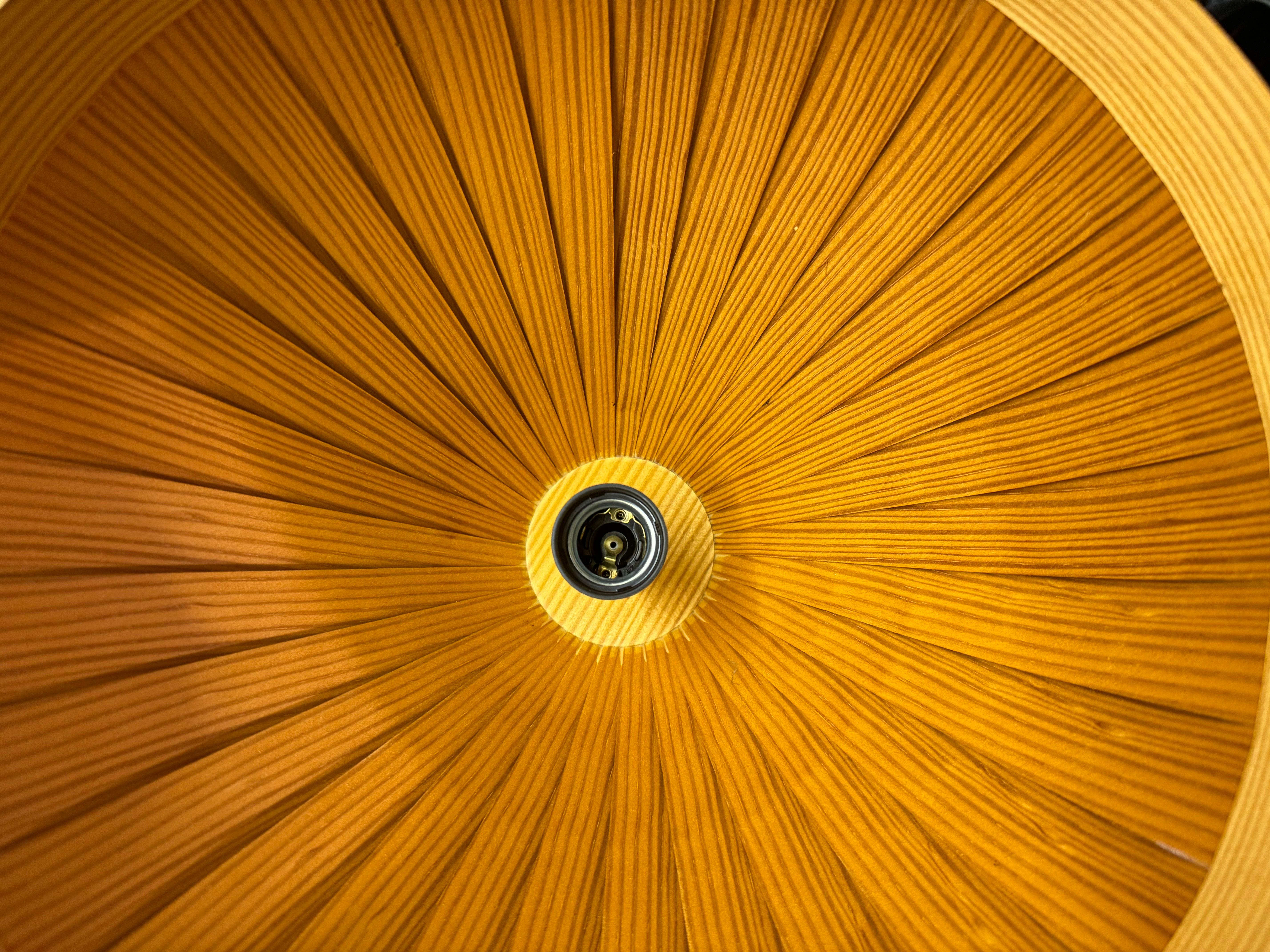 Ciondolo a forma di vortice di pino di Hans-Agne Jakobsson, Svezia, 1960 ca. in vendita 7