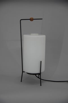 Rare Table Lamp by Napako, 1960s