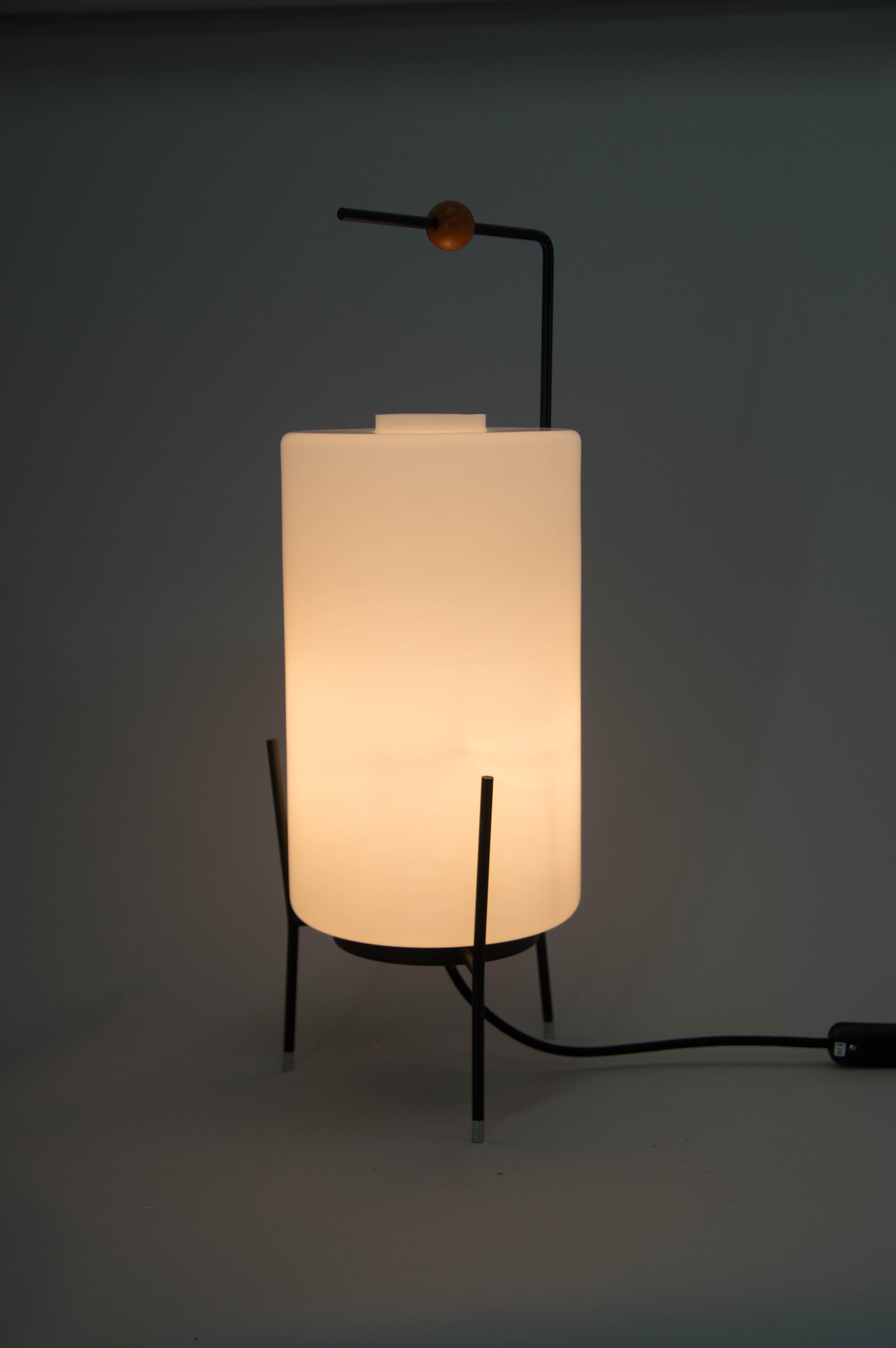 Mid-Century Modern Rare Table Lamp by Napako, 1960s For Sale