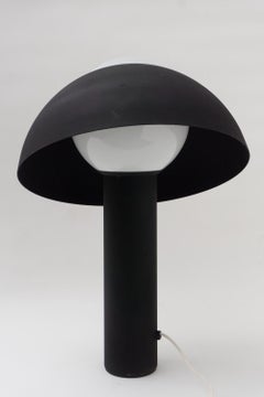 Rare Table Lamp 'Nervina', Black Metal, by Sergio Asti, 1962