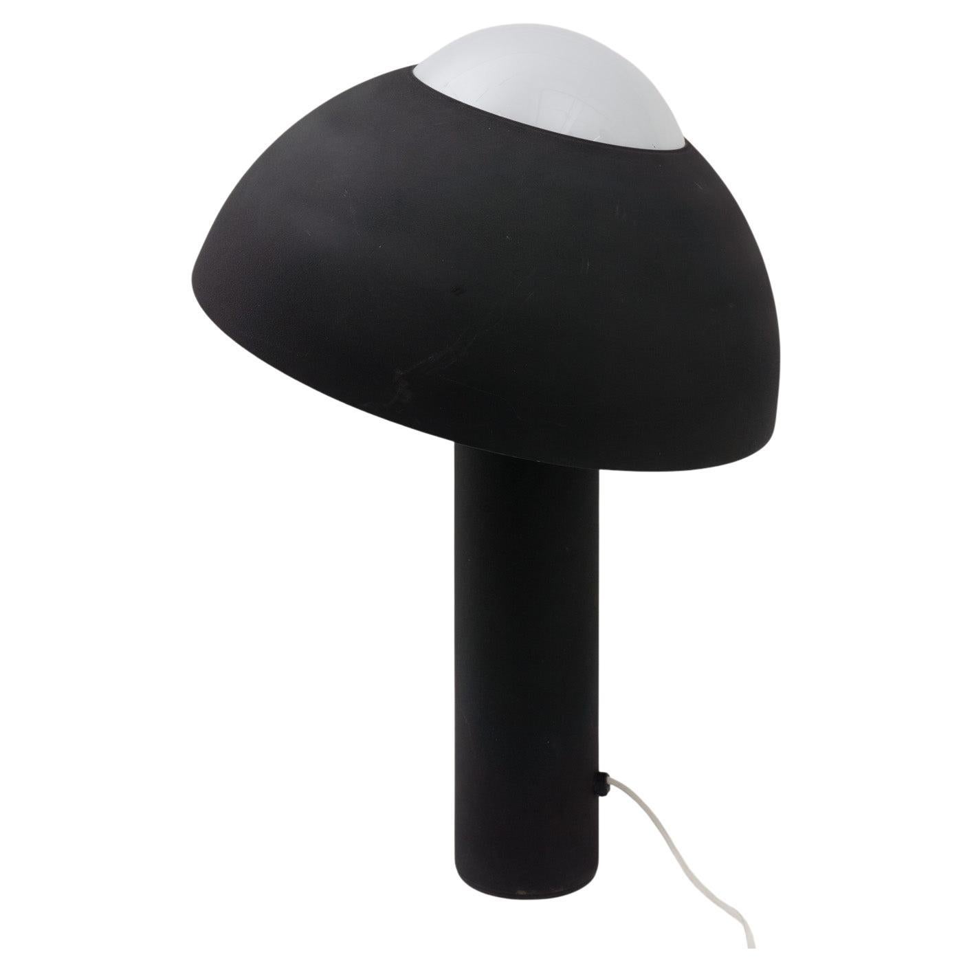 Rare Table Lamp 'Nervina', Black Metal, by Sergio Asti, 1962