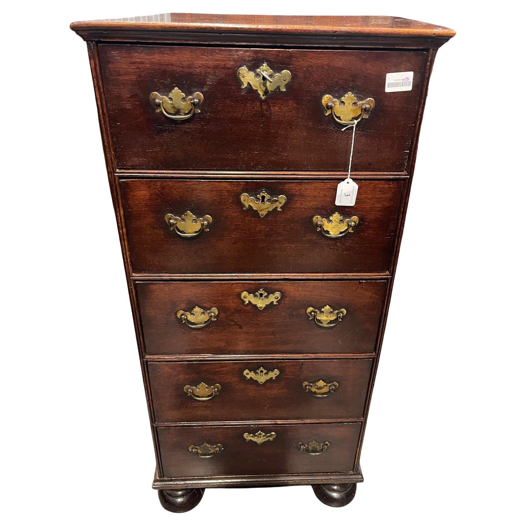 Rare Tall and Narrow Georgian Chest of Drawers For Sale