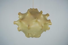 Rare Taraxacum Flos Cocoon Suspension Lamp, First Edition, 1960s