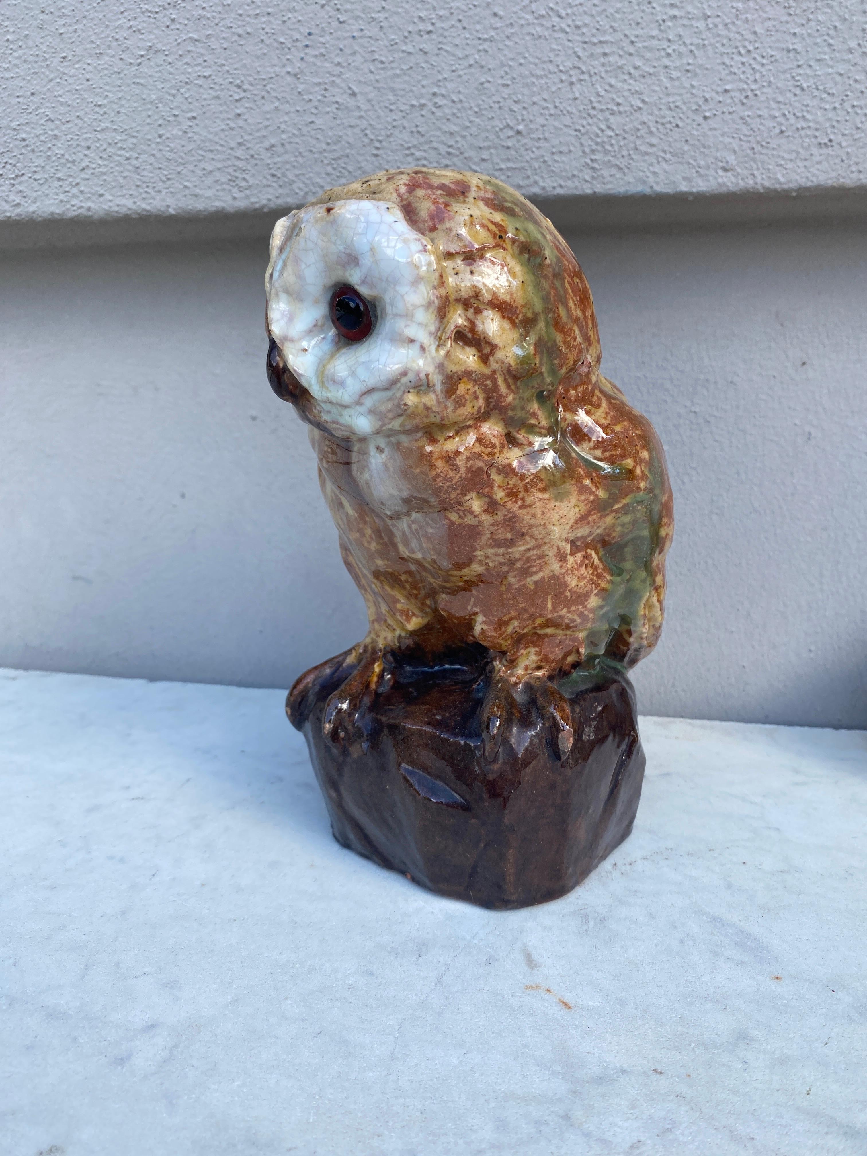 French Provincial Rare Terracotta Majolica Owl Filmont Bavent Normandy For Sale
