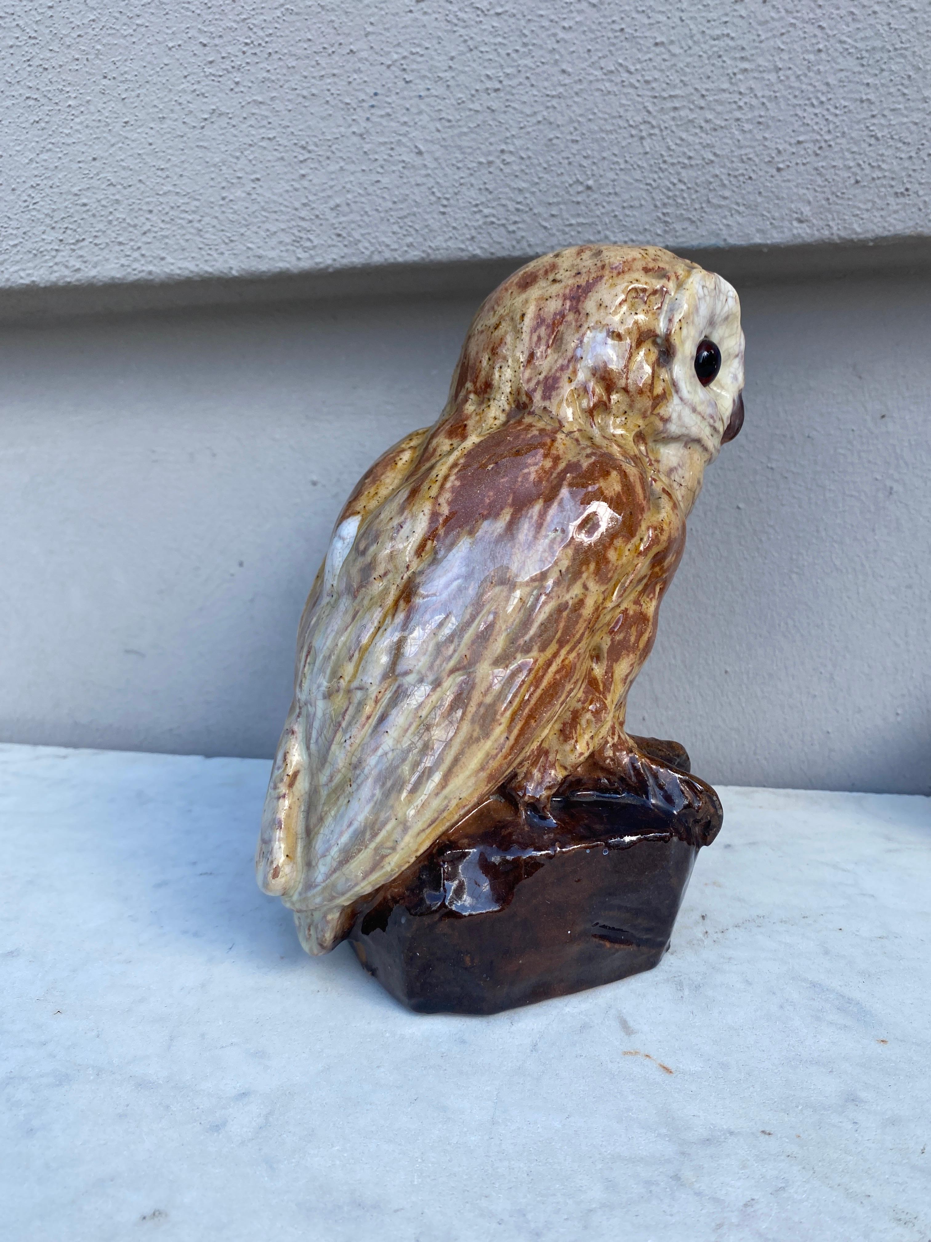 French Rare Terracotta Majolica Owl Filmont Bavent Normandy For Sale