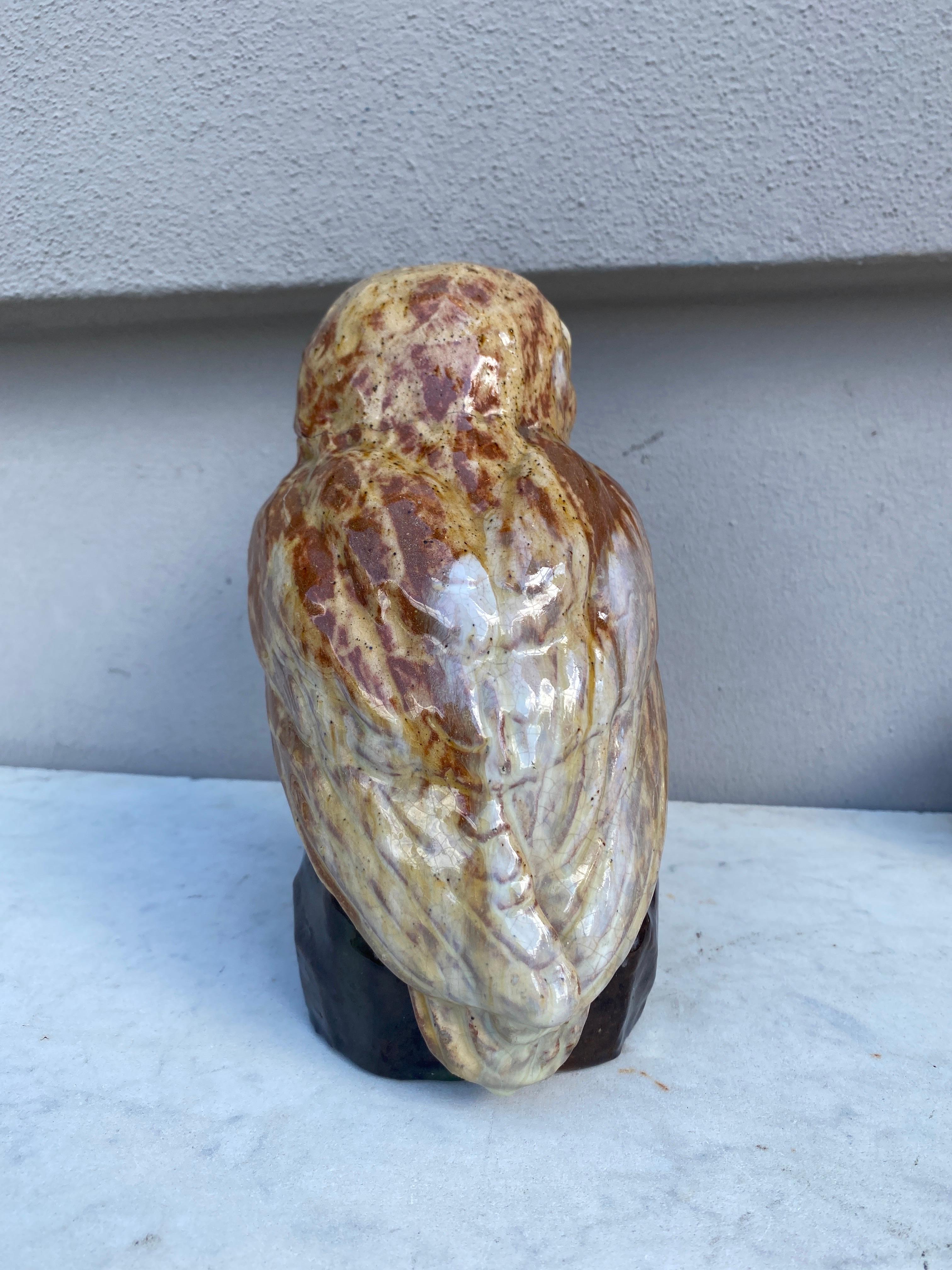 Rare Terracotta Majolica Owl Filmont Bavent Normandy In Good Condition For Sale In Austin, TX