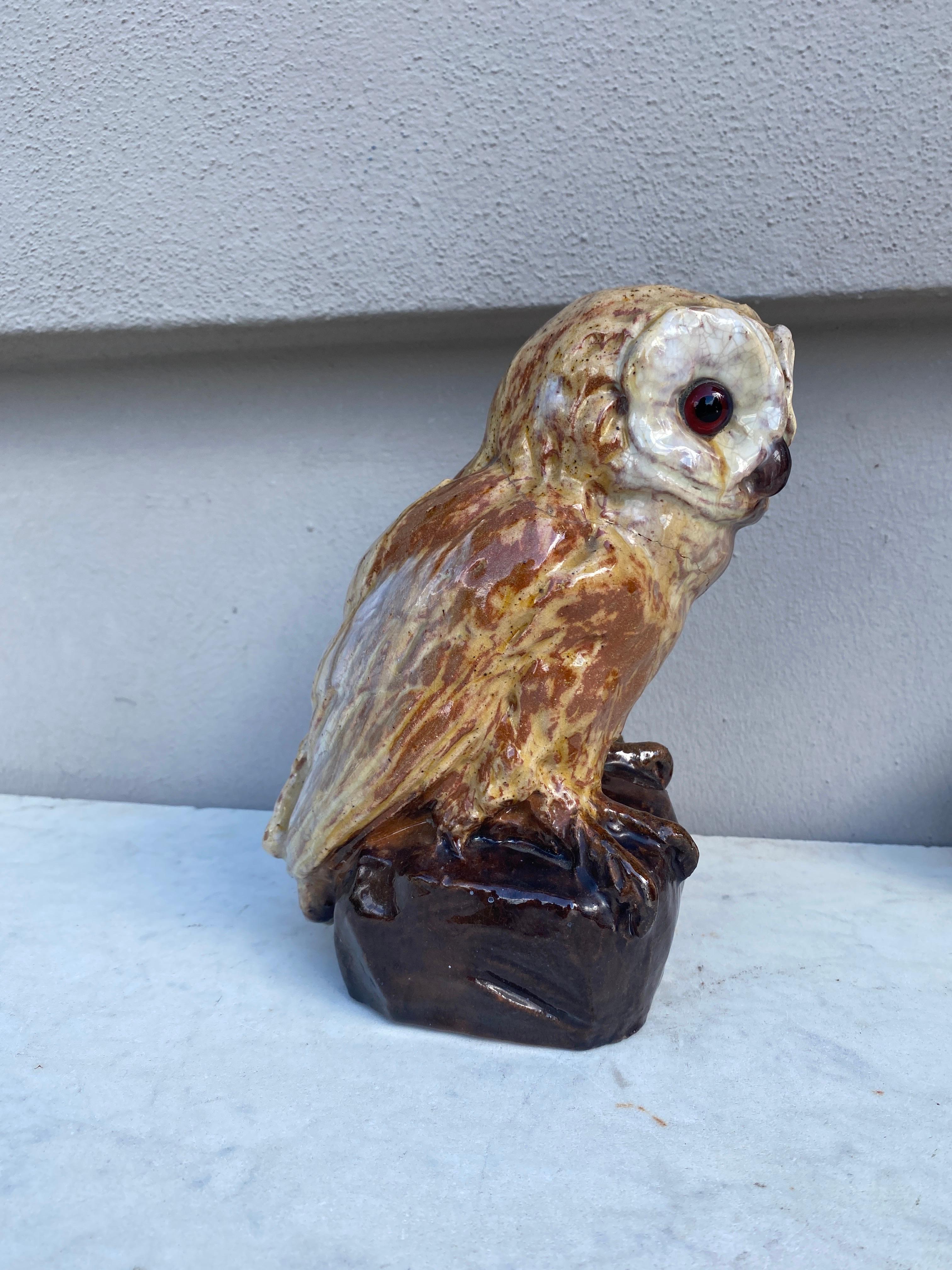 Rare Terracotta Majolica Owl Filmont Bavent Normandy For Sale 1